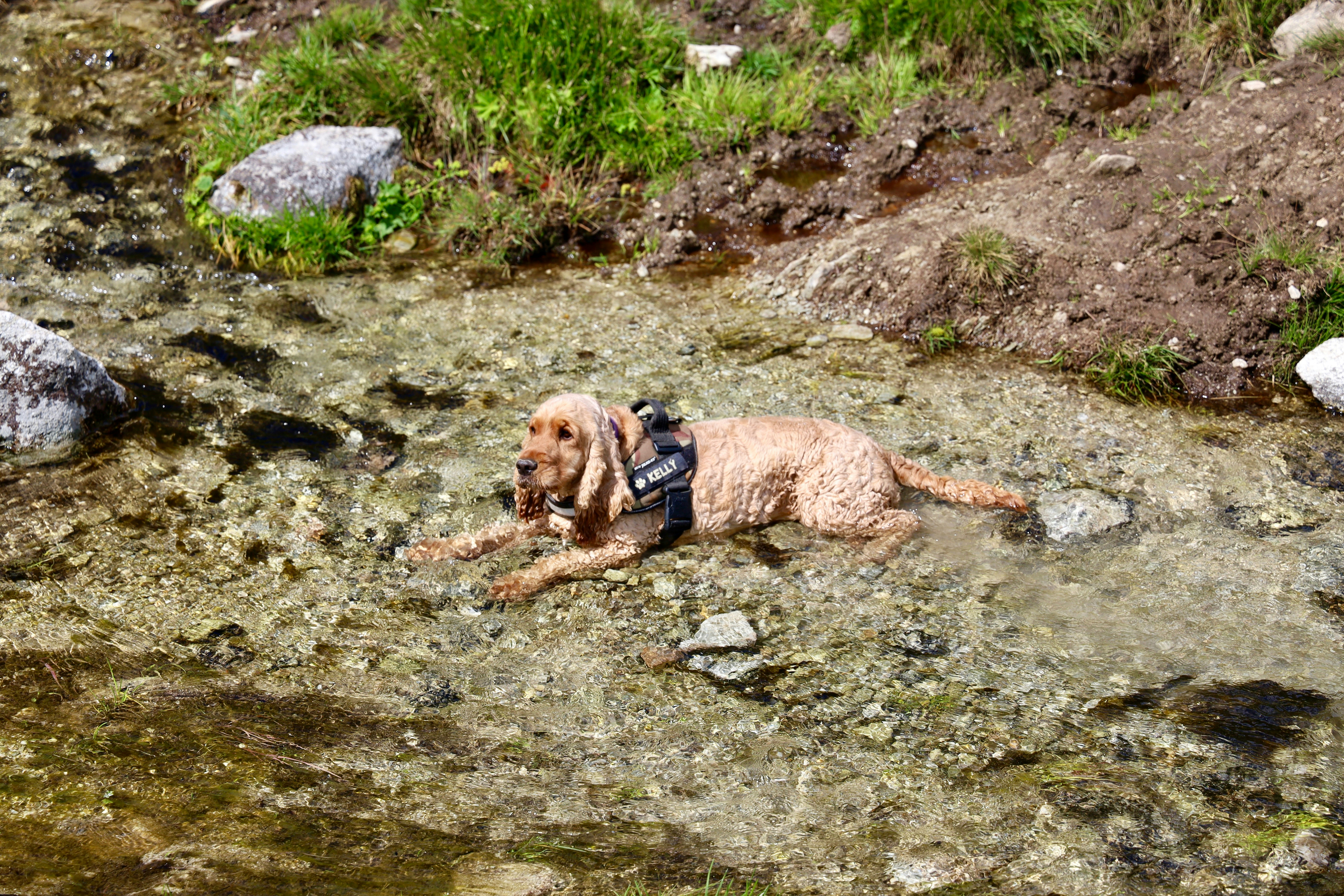 Photo by maximilian_brand