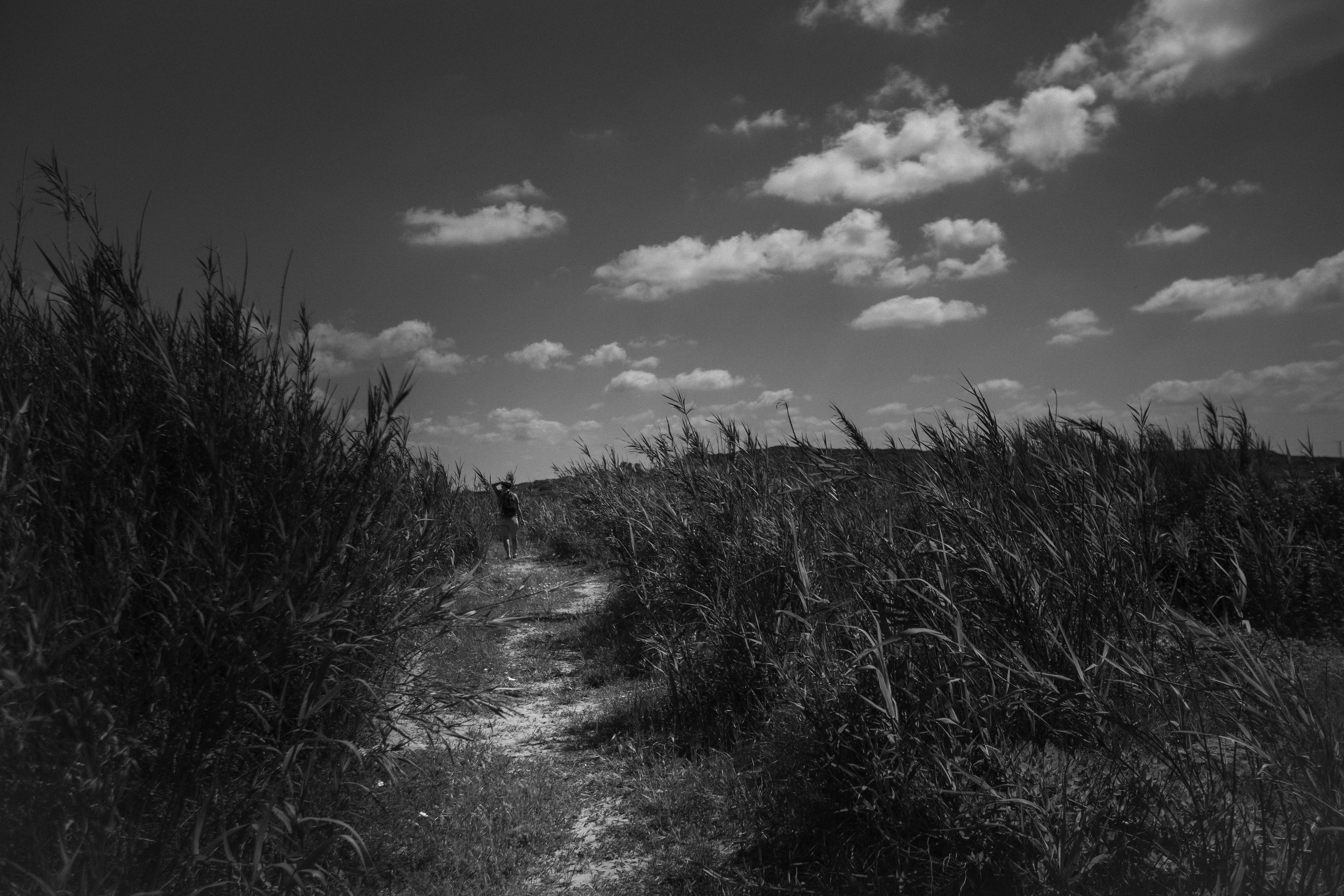 Photo by behindthetmuna