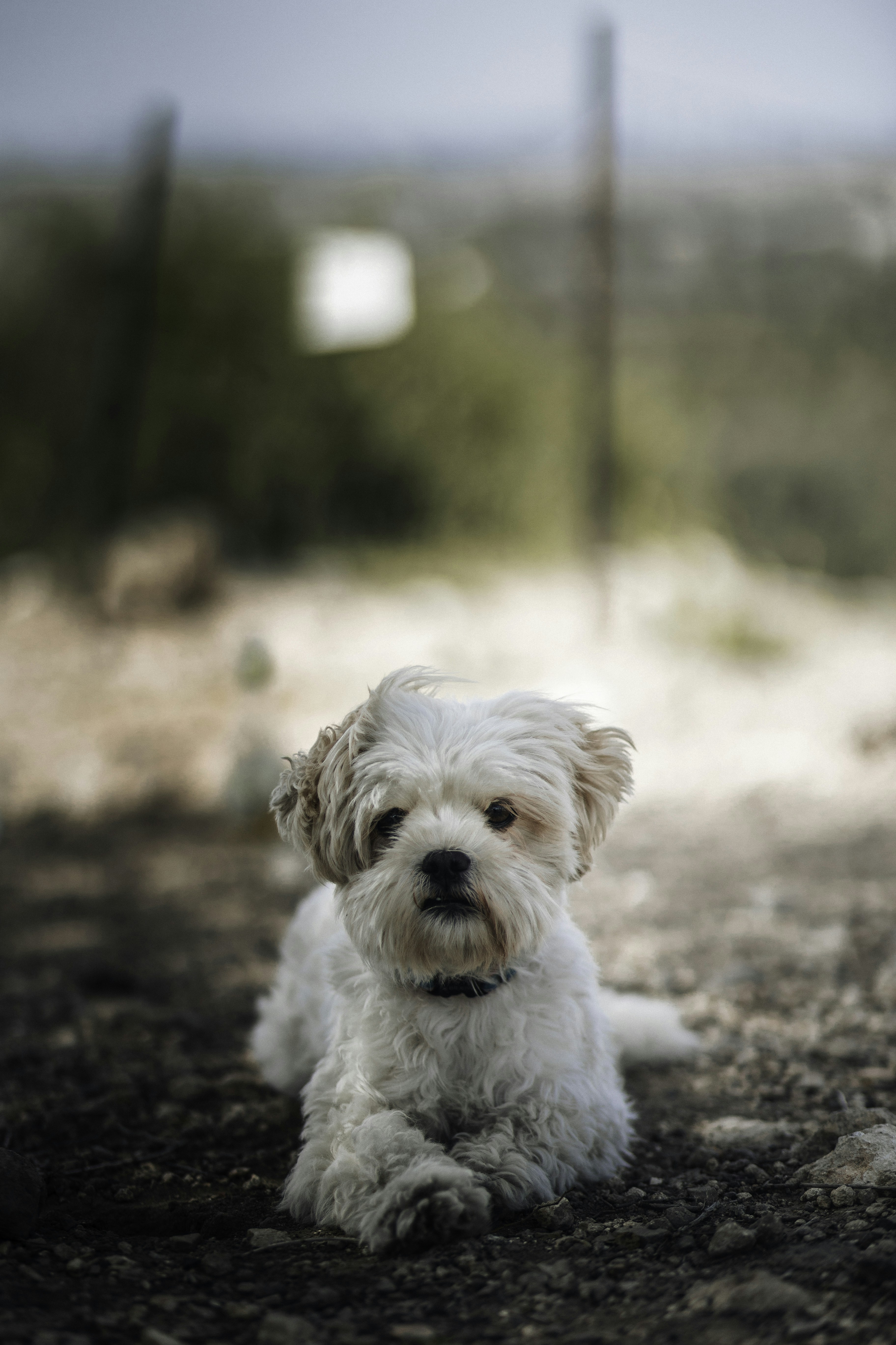 Photo by behindthetmuna