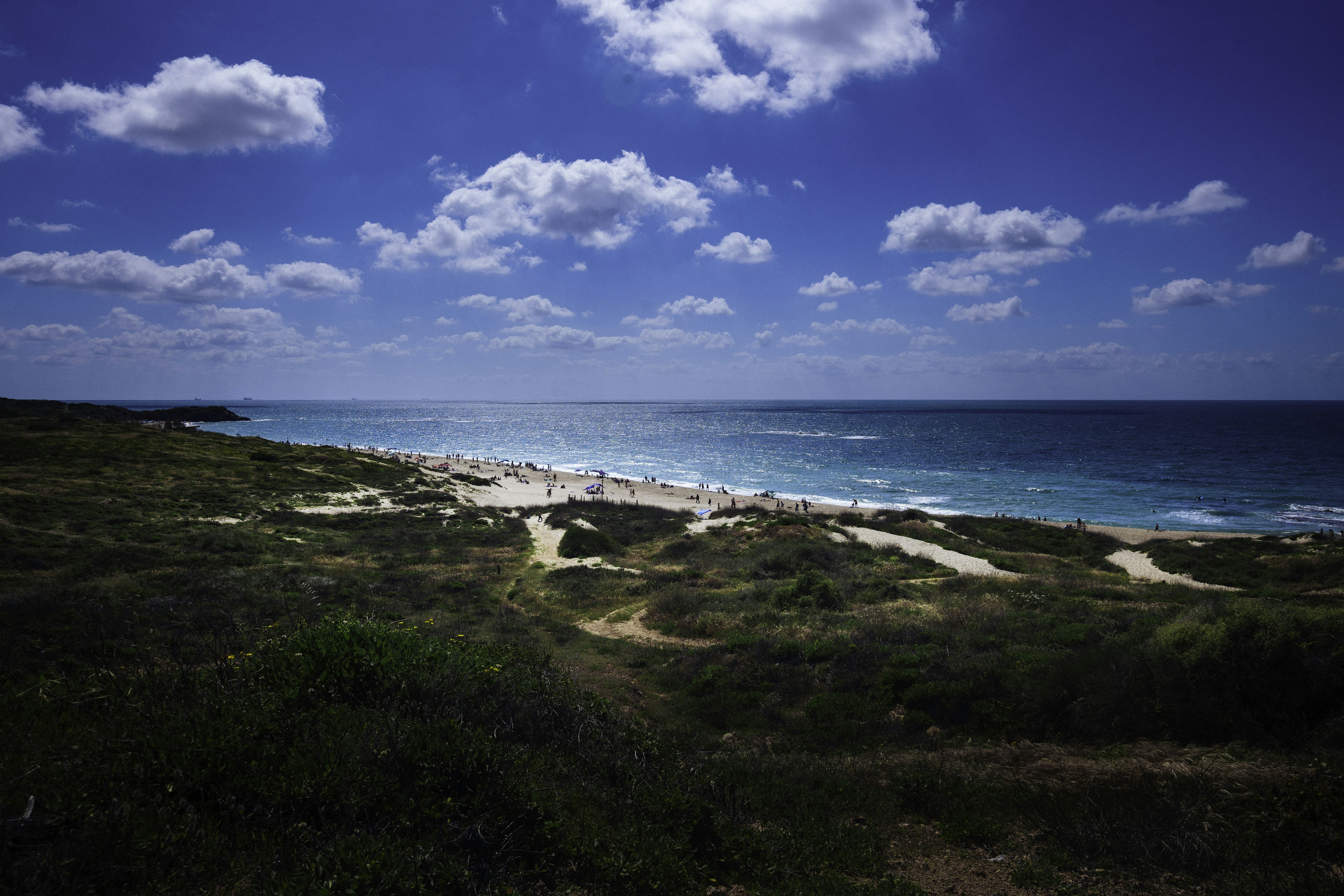 Photo by behindthetmuna