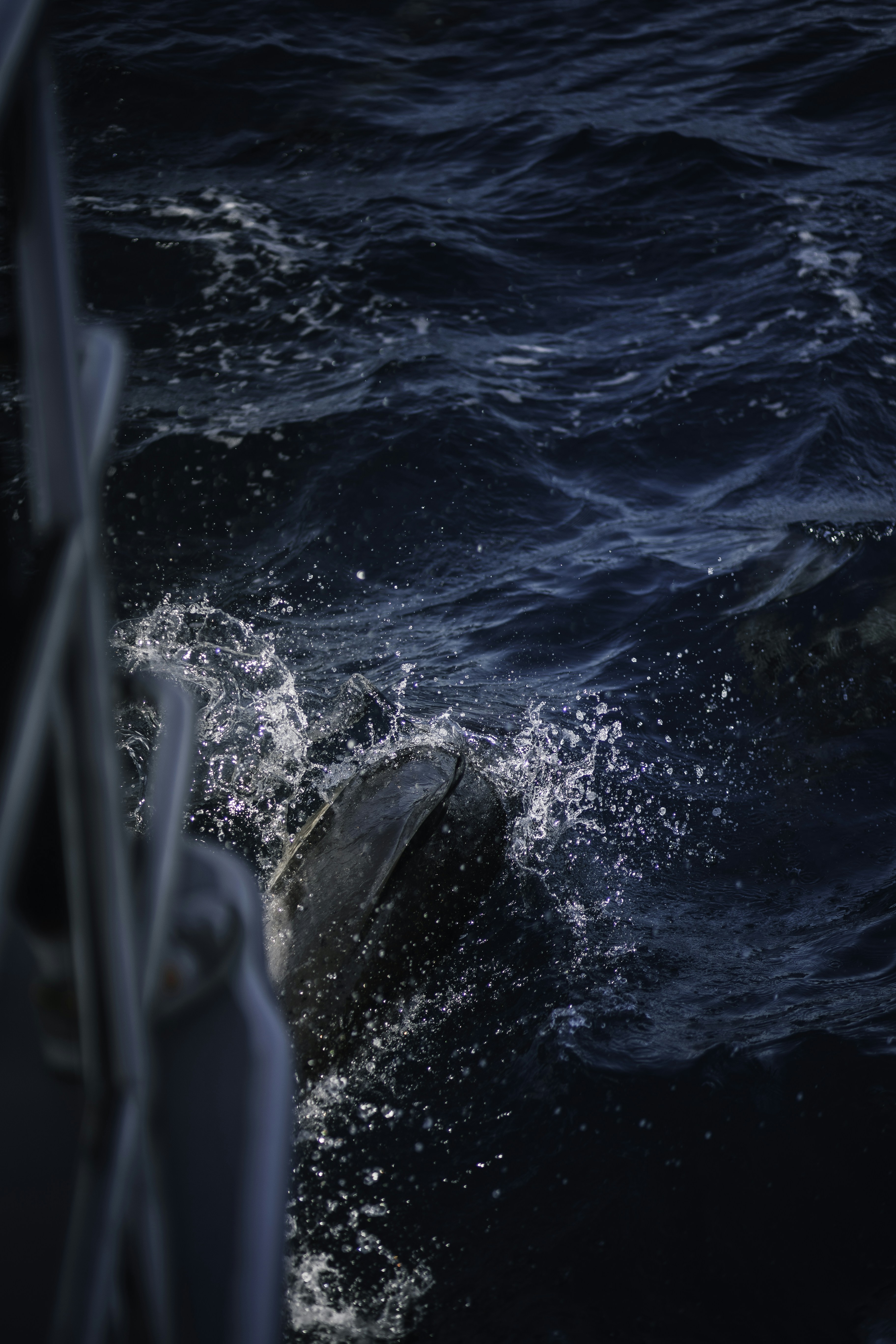 Photo by behindthetmuna