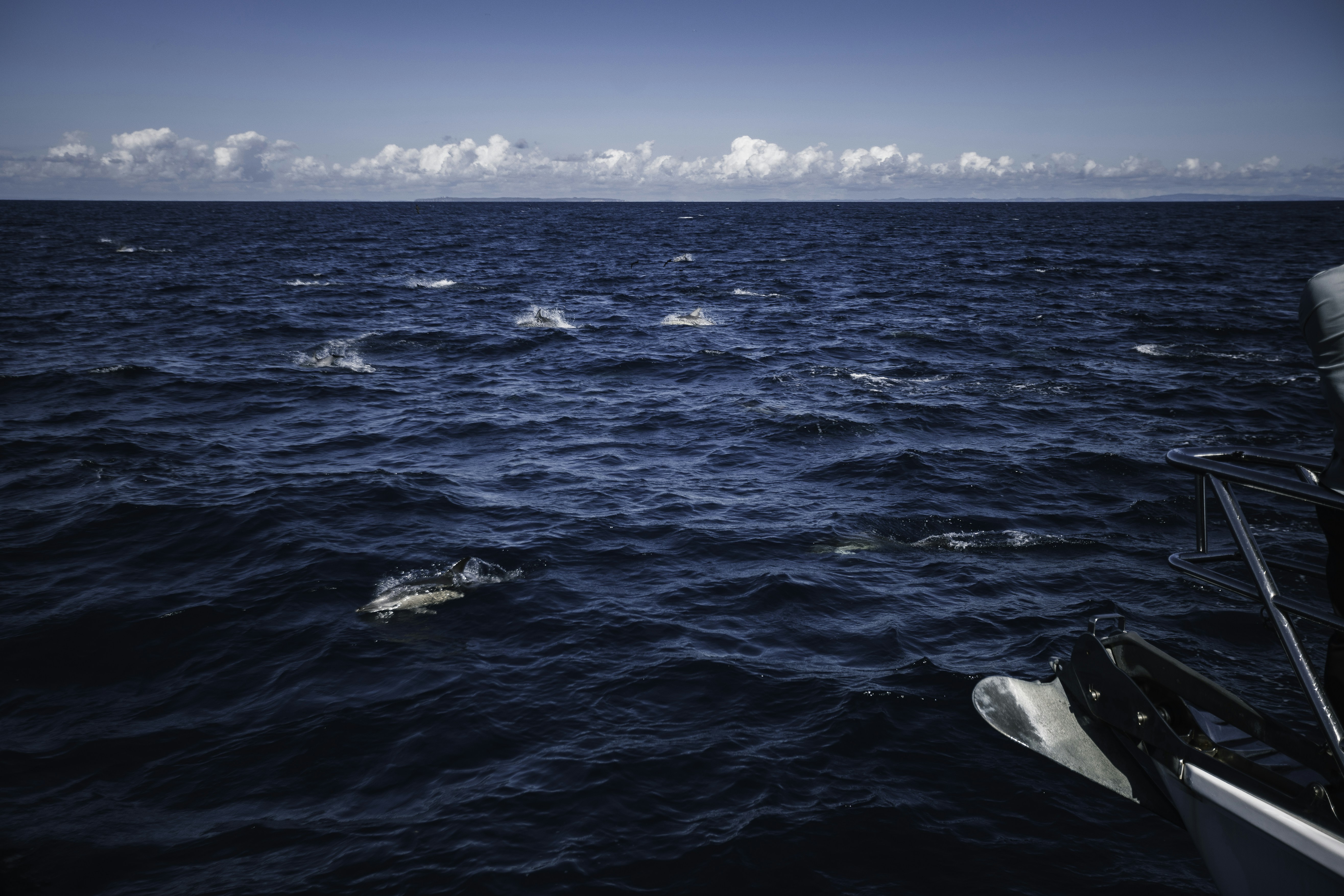 Photo by behindthetmuna