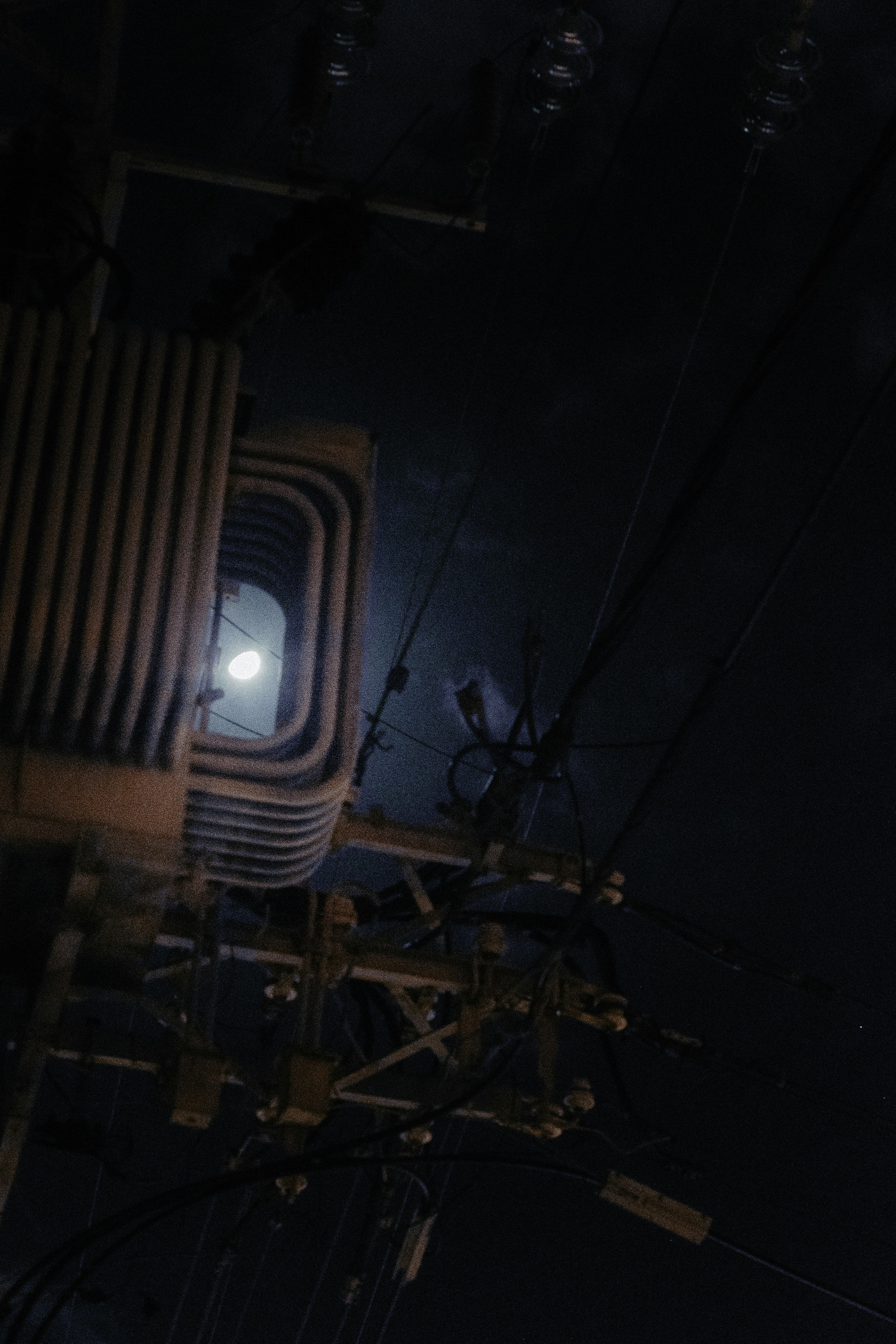 Photo by behindthetmuna