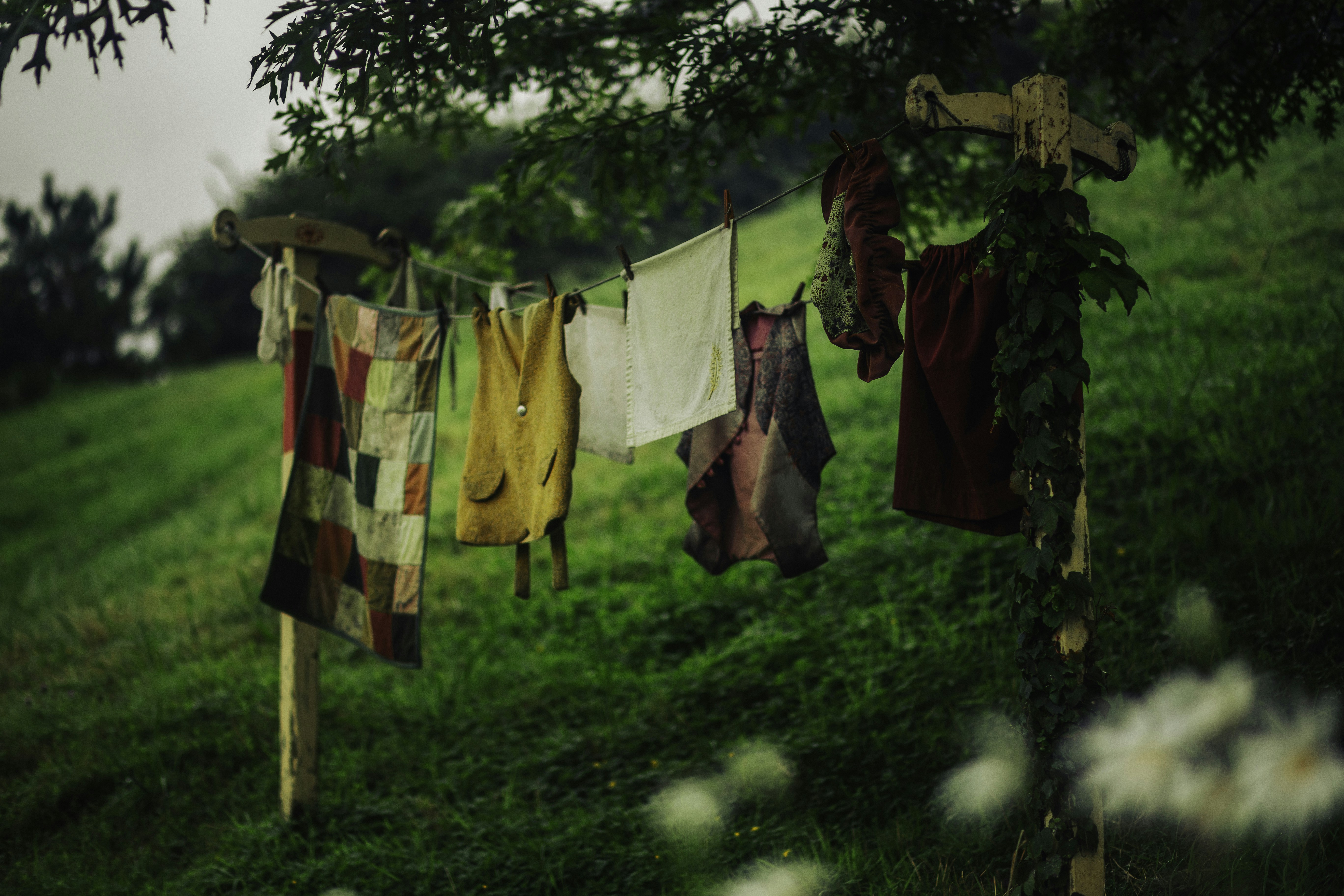 Photo by behindthetmuna