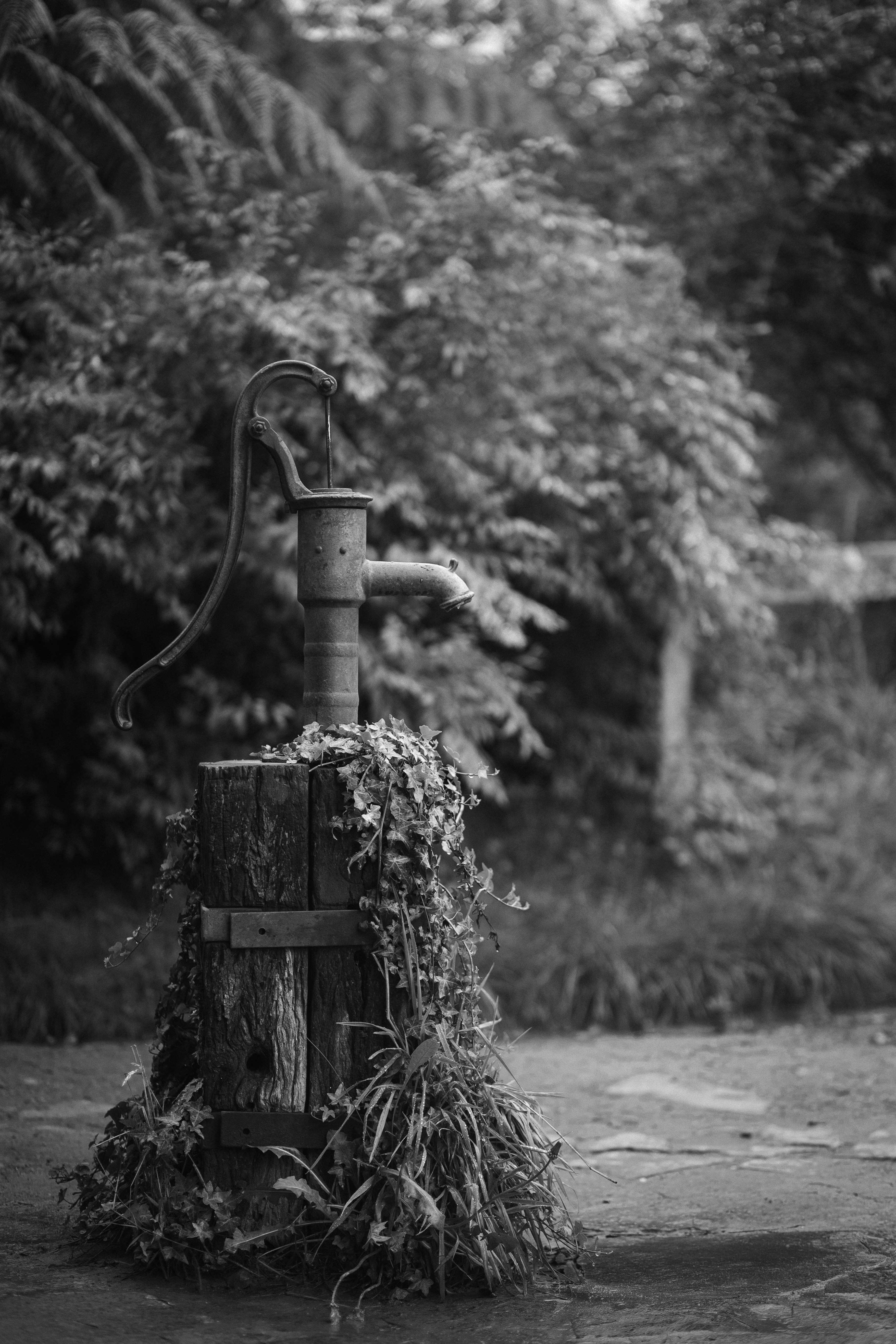 Photo by behindthetmuna