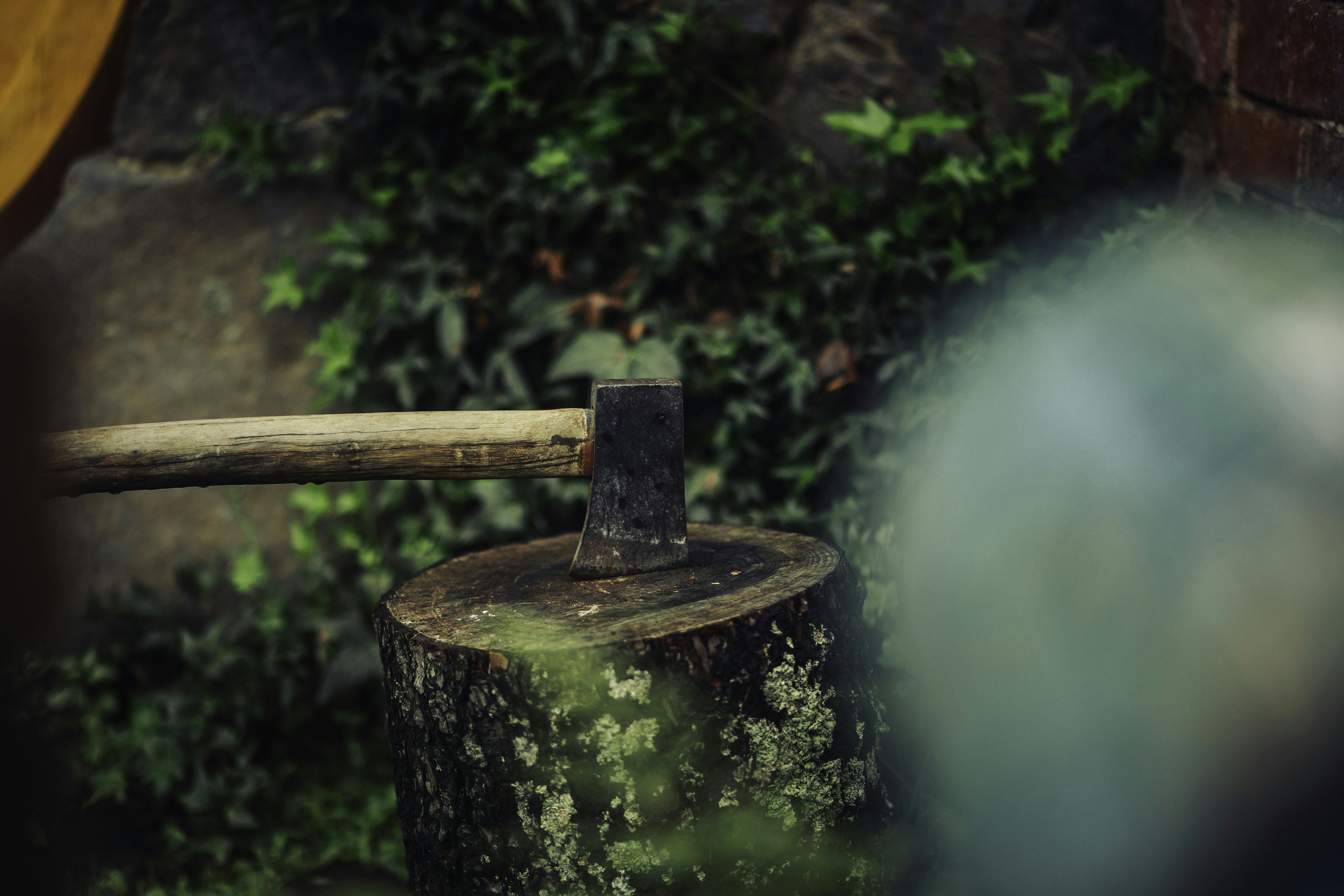 Photo by behindthetmuna