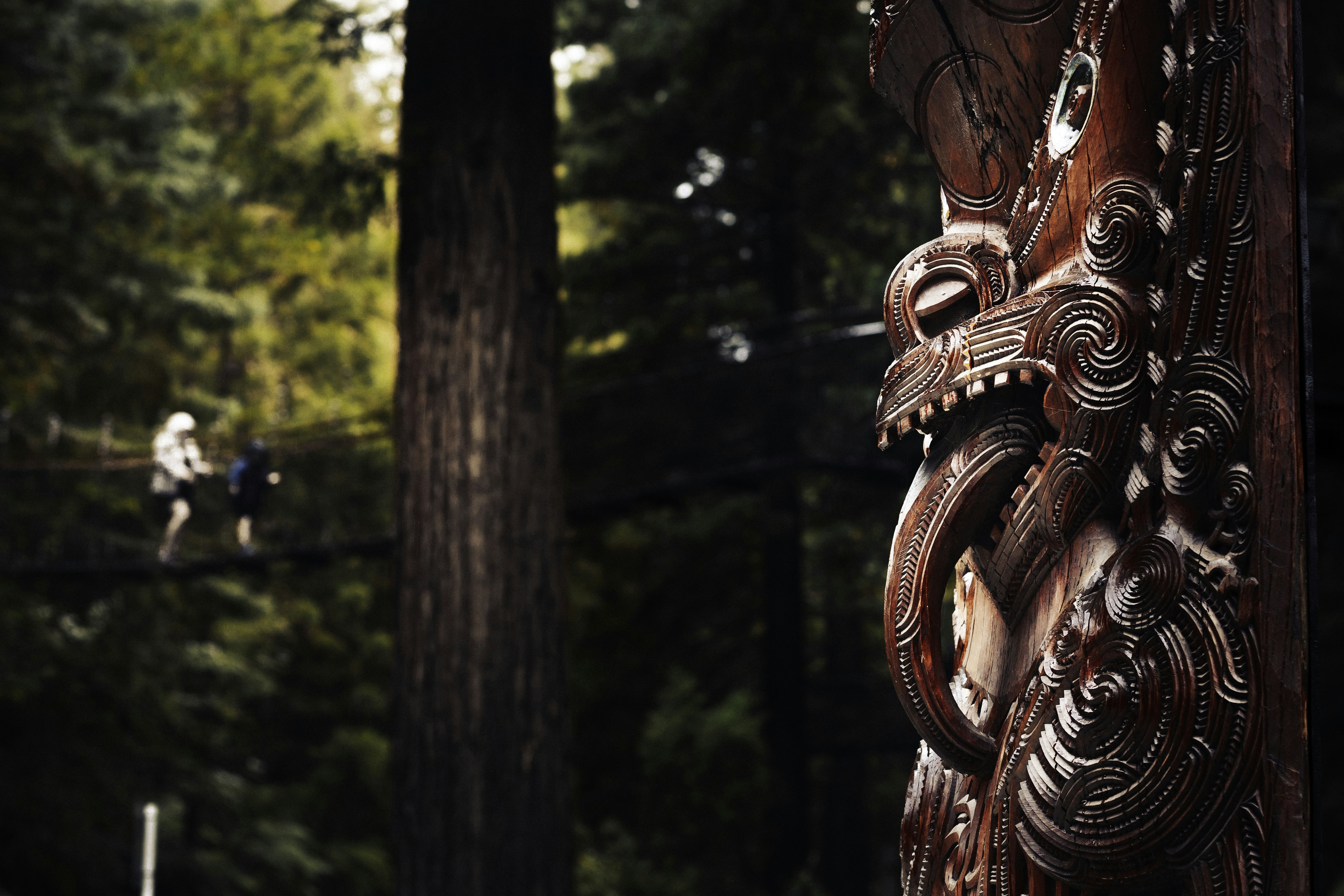 photo-1723230907975-a47f949c2841?ixid=M3wxMjA3fDB8MXxzZWFyY2h8Nnx8bW9uc3RlciUyMGh1bnRlciUyMHJpc2UlMjBjb25zb2xlJTIwcG9ydHxlbnwwfHx8fDE3NjU2NTUwNDR8MA\u0026ixlib=rb-4.1.0