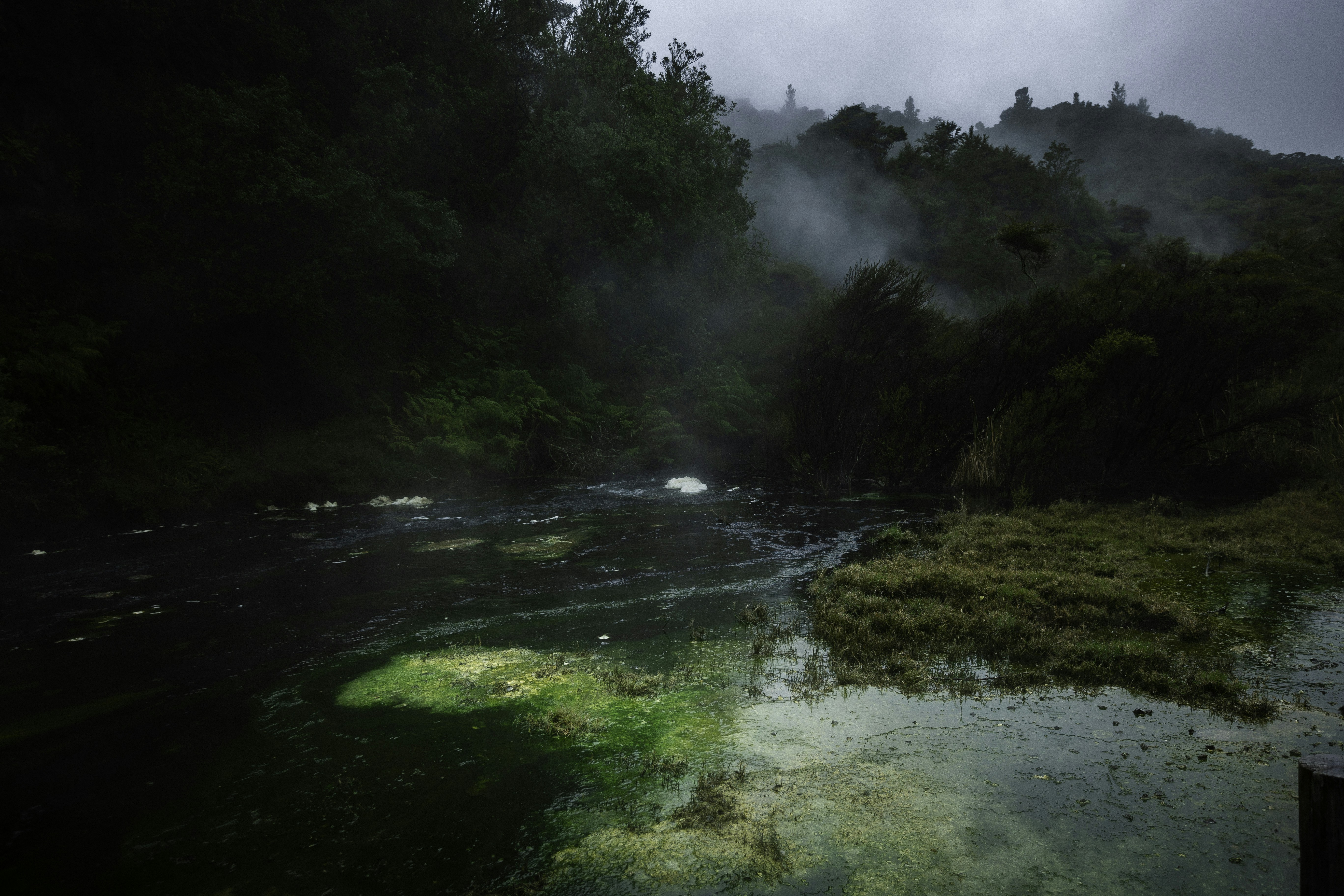 Photo by behindthetmuna