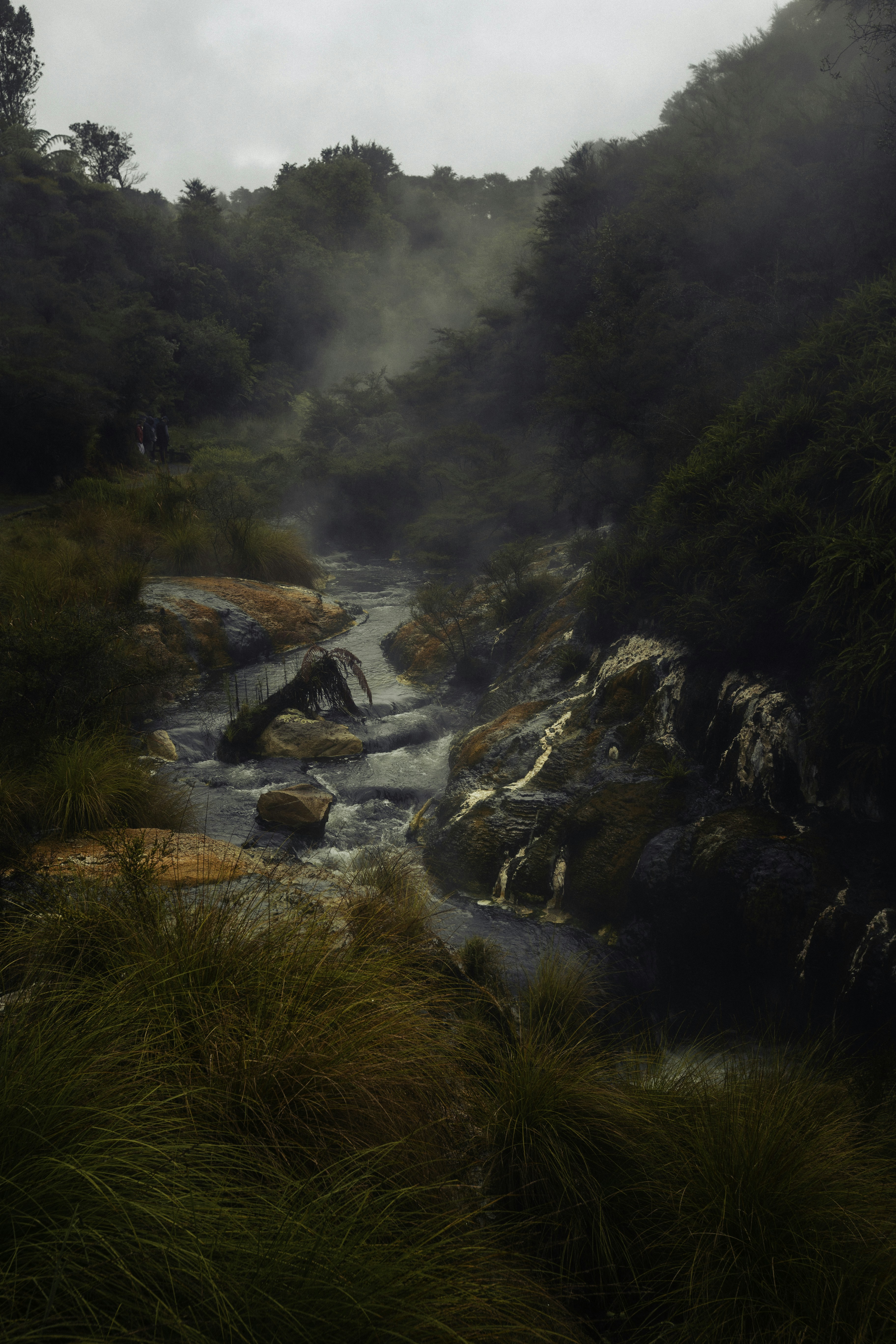 Photo by behindthetmuna