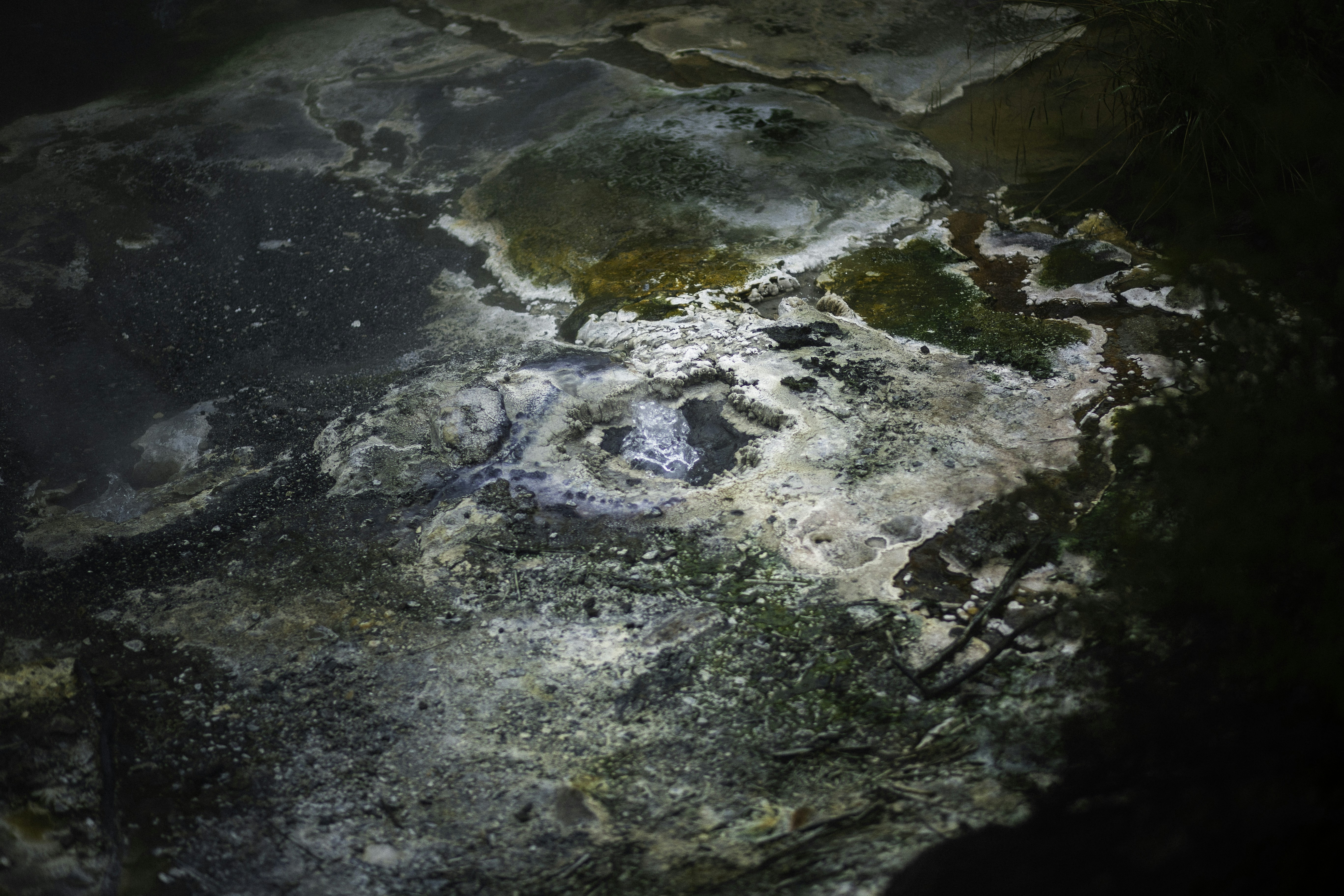 Photo by behindthetmuna