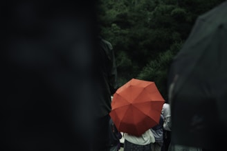 A person with a red umbrella walking on a bridge
