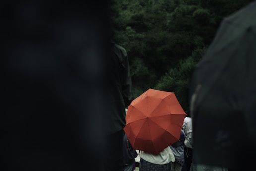 A person with a red umbrella walking on a bridge
