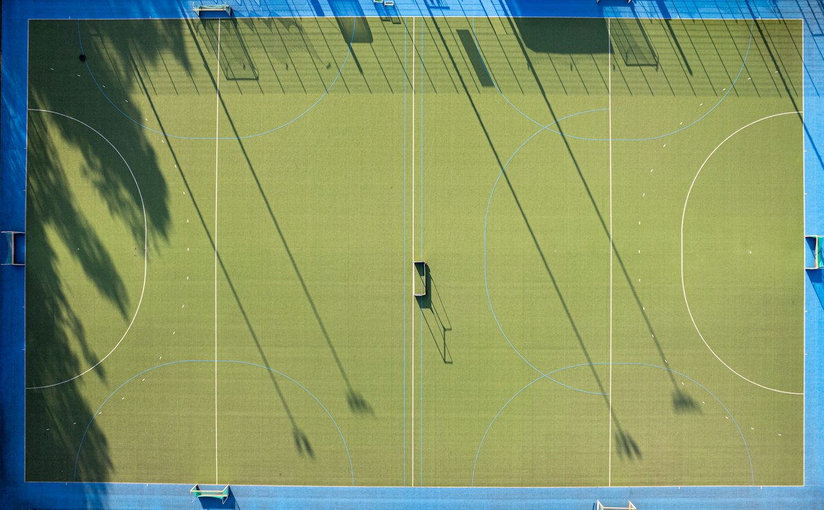 Overhead view of a tennis court with a dog standing on it, unrelated to team meal ideas for sports teams.