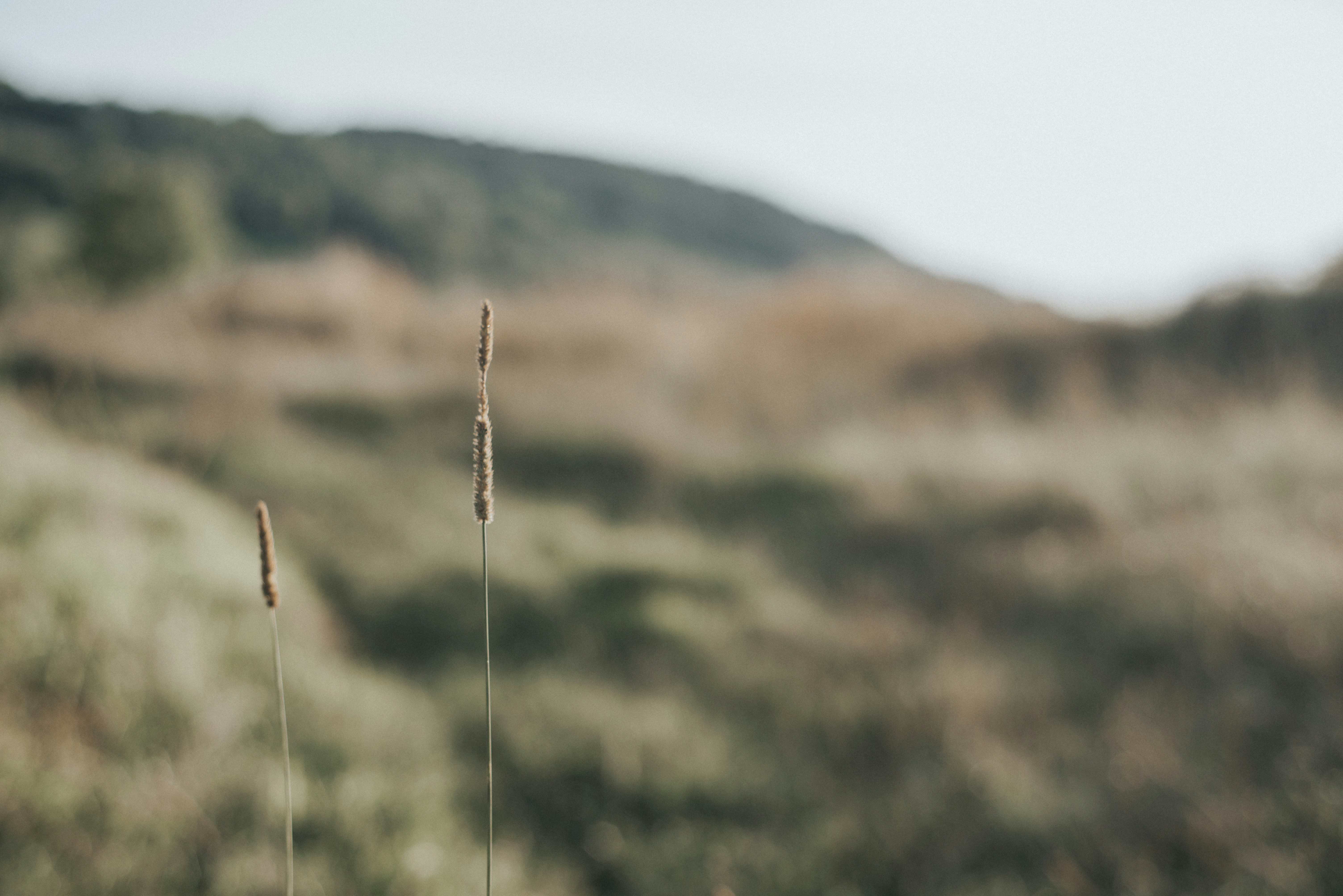 Photo by domowe_ustronie