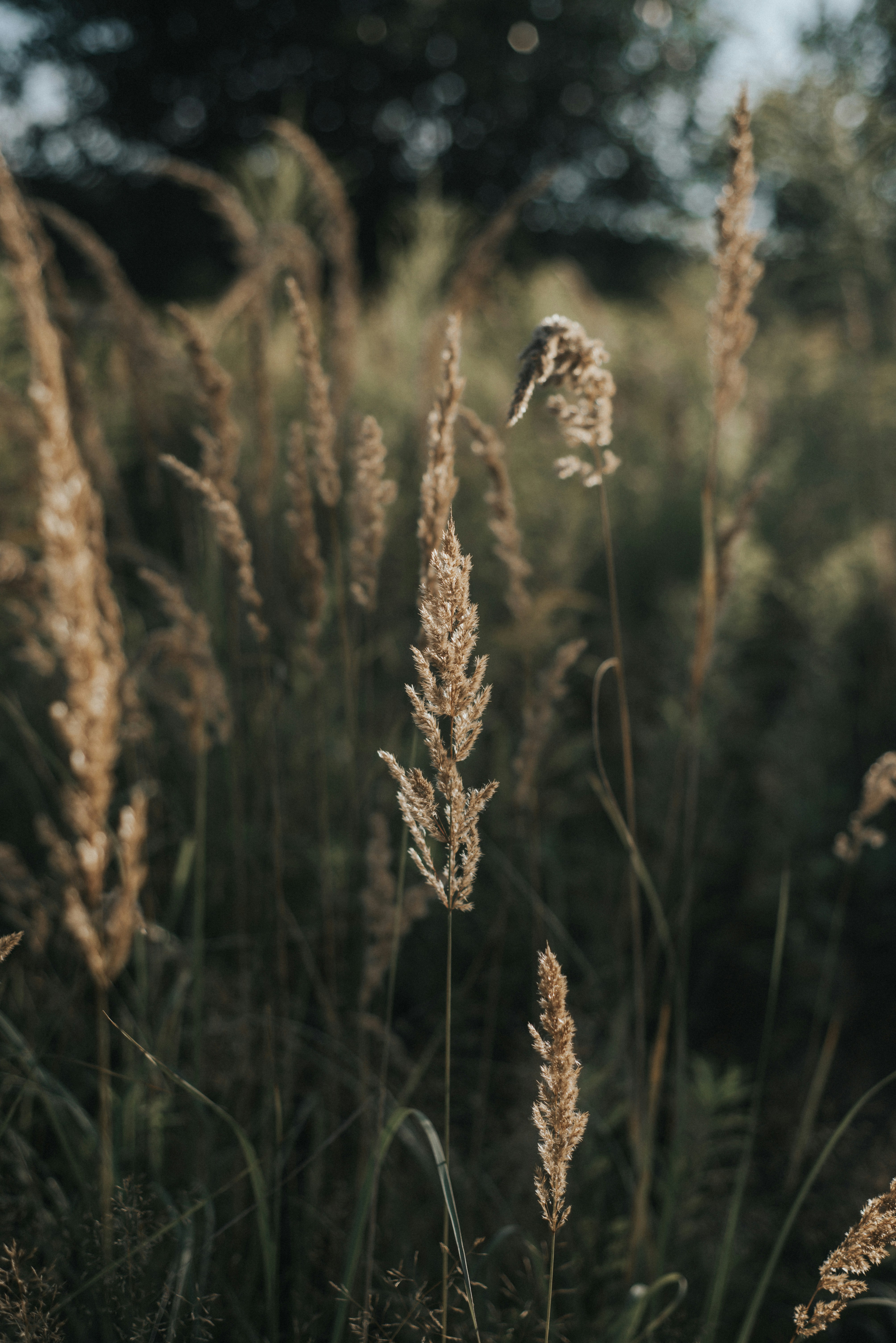 Photo by domowe_ustronie