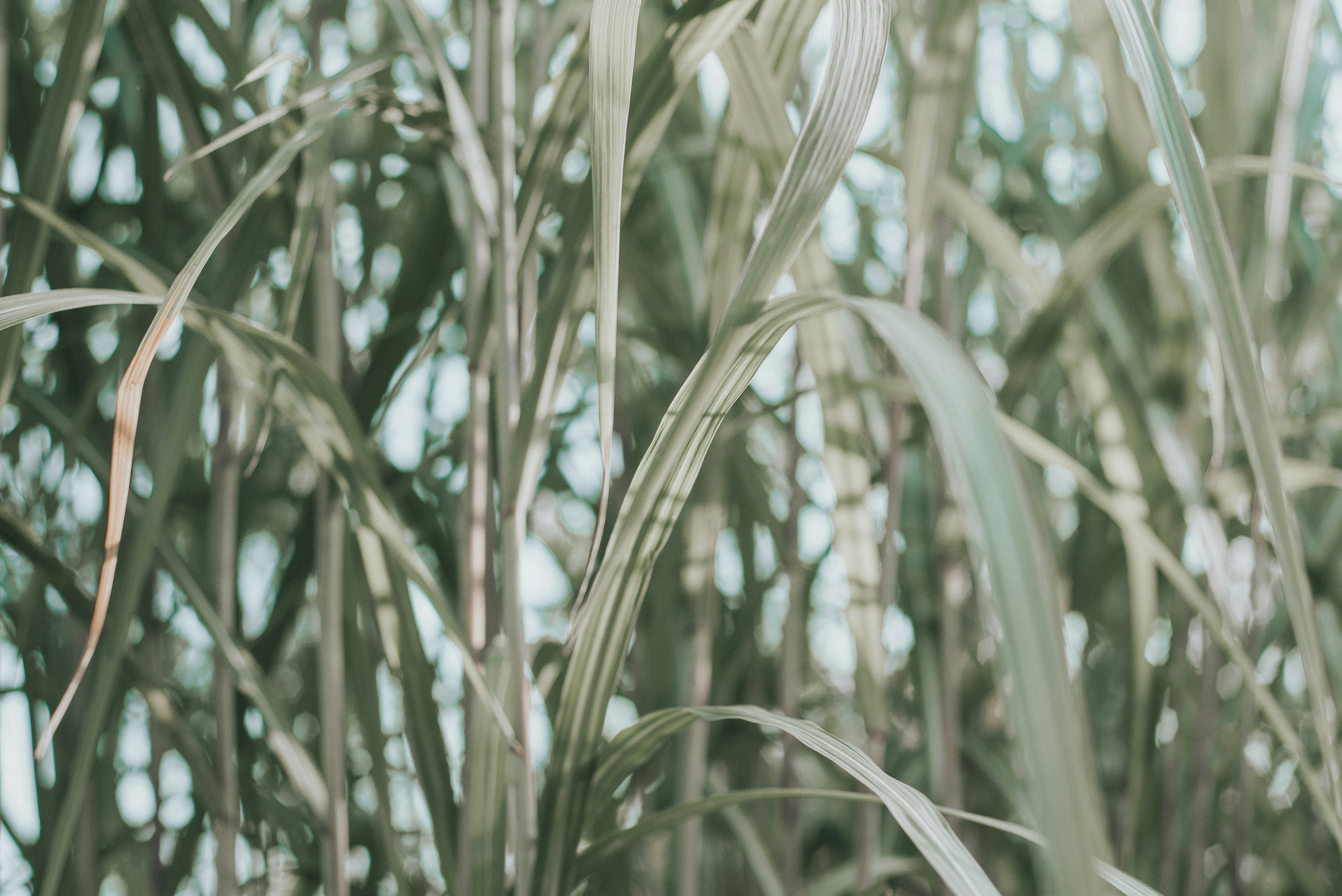 Photo by domowe_ustronie