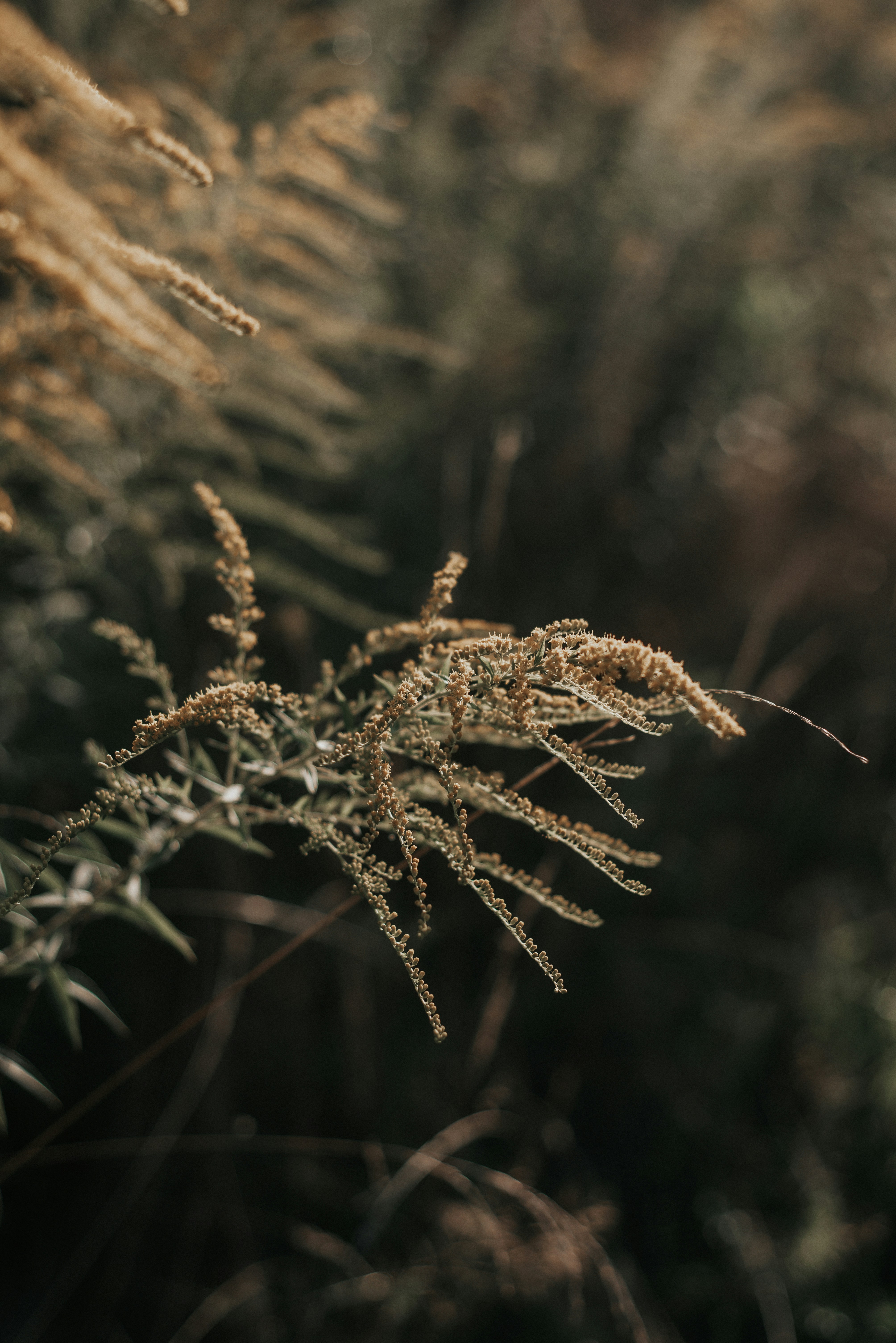 Photo by domowe_ustronie