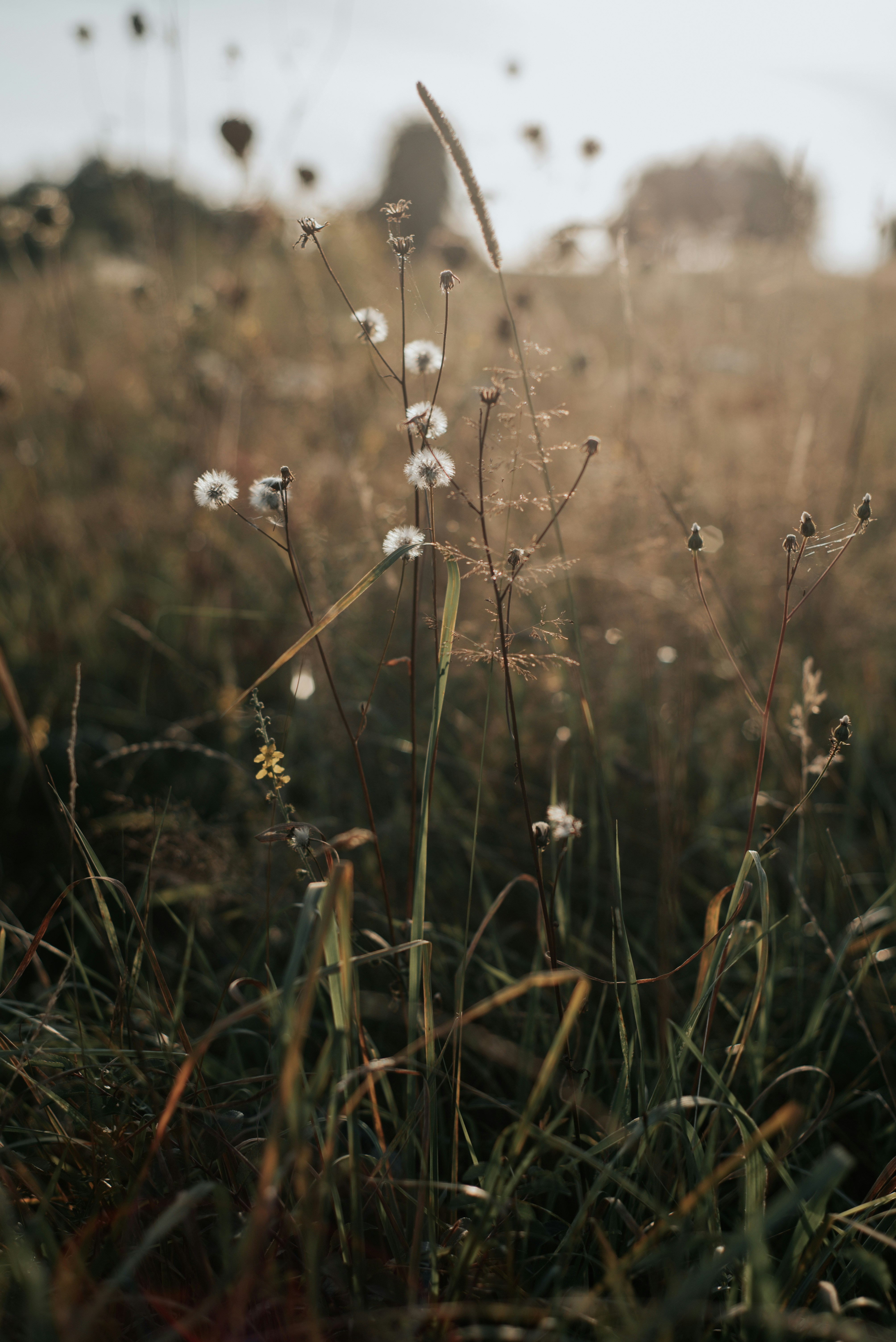 Photo by domowe_ustronie