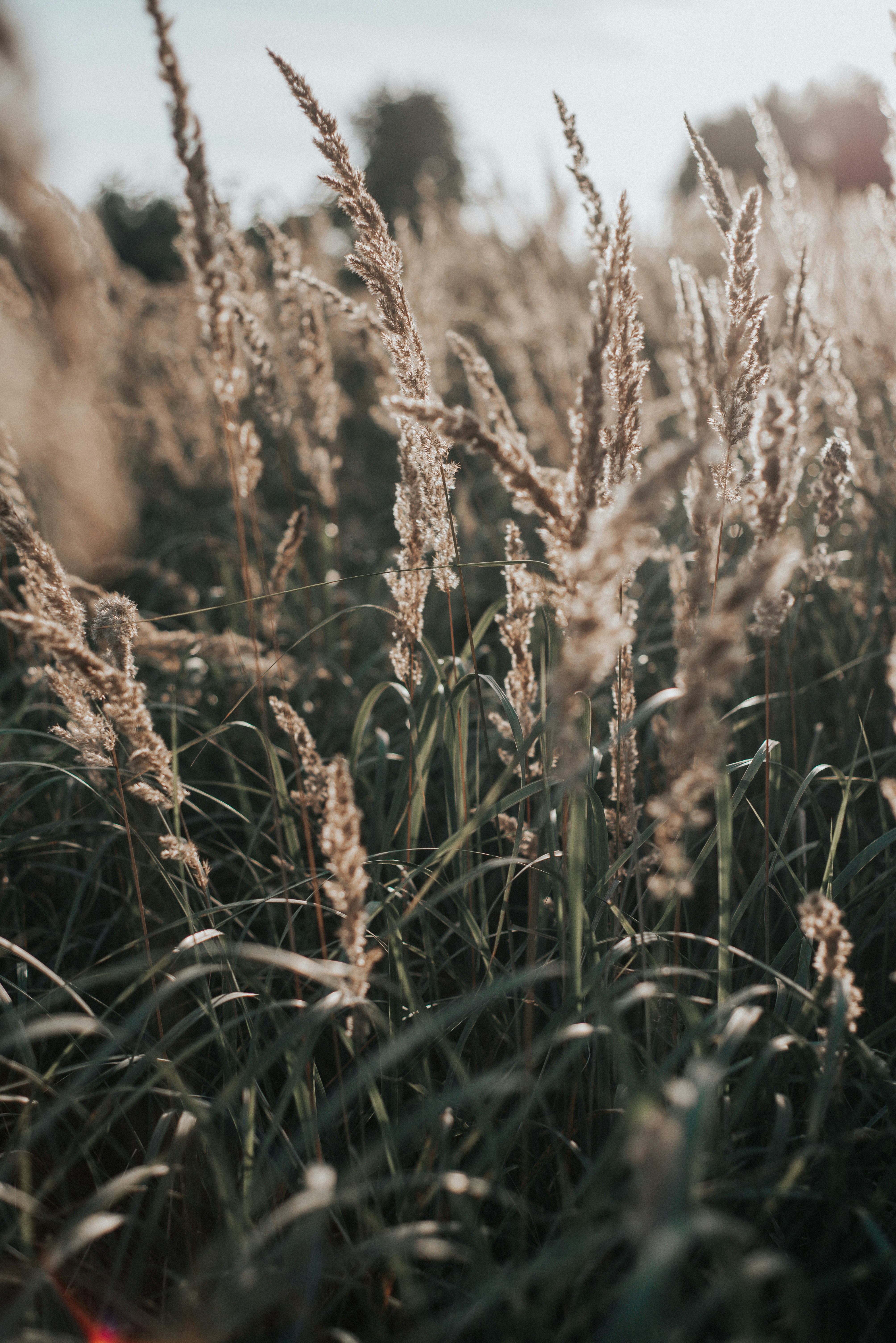 Photo by domowe_ustronie