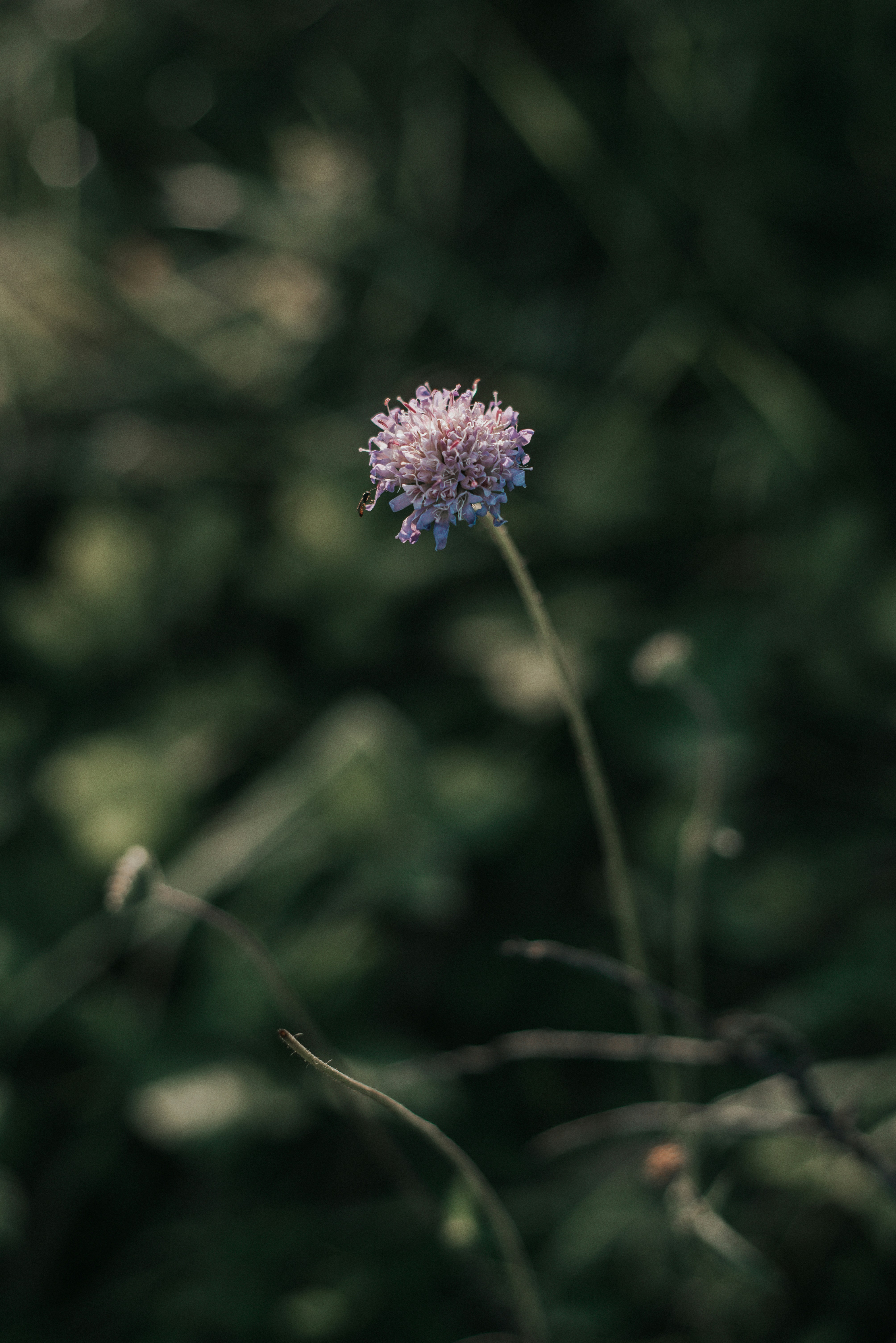 Photo by domowe_ustronie