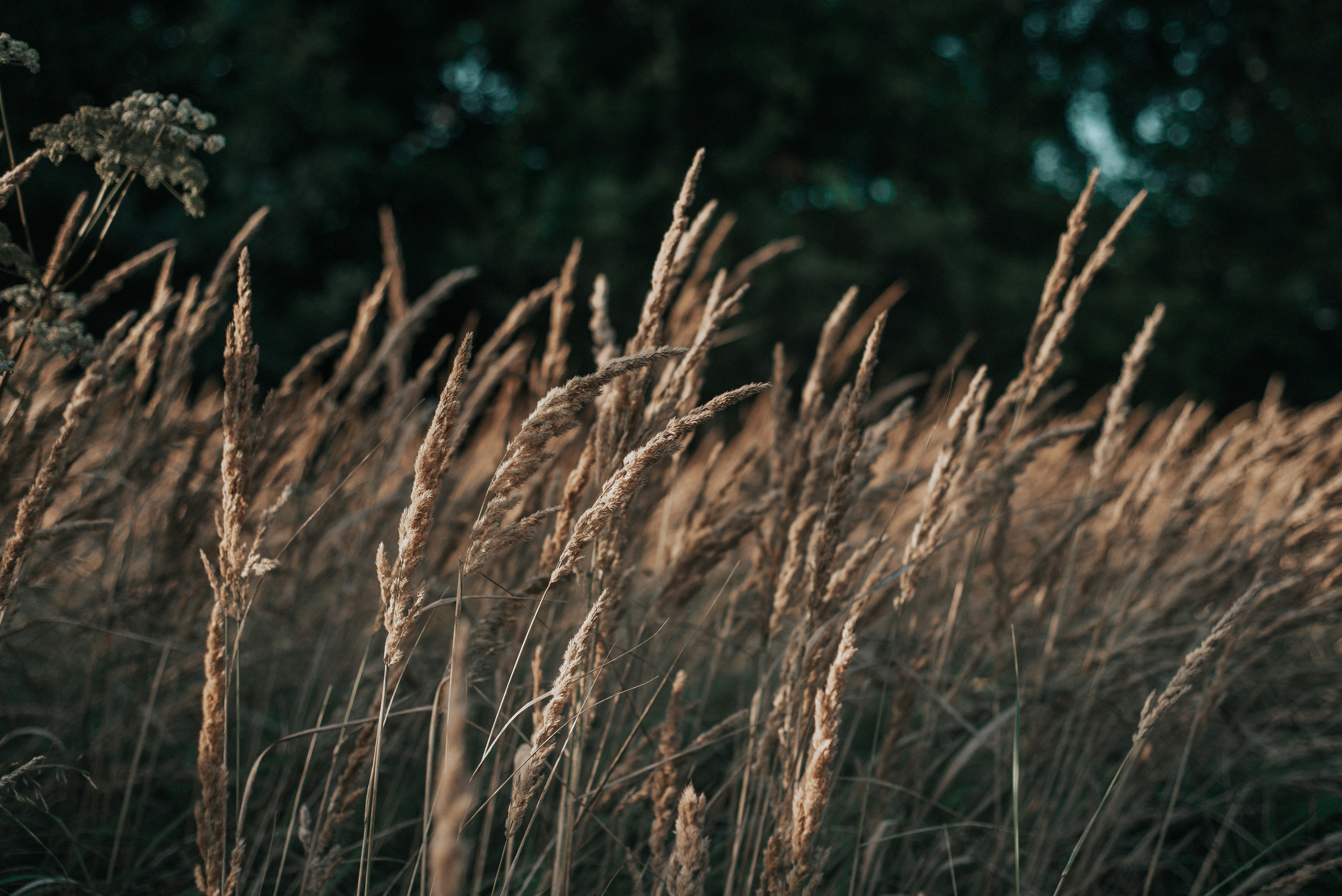 Photo by domowe_ustronie