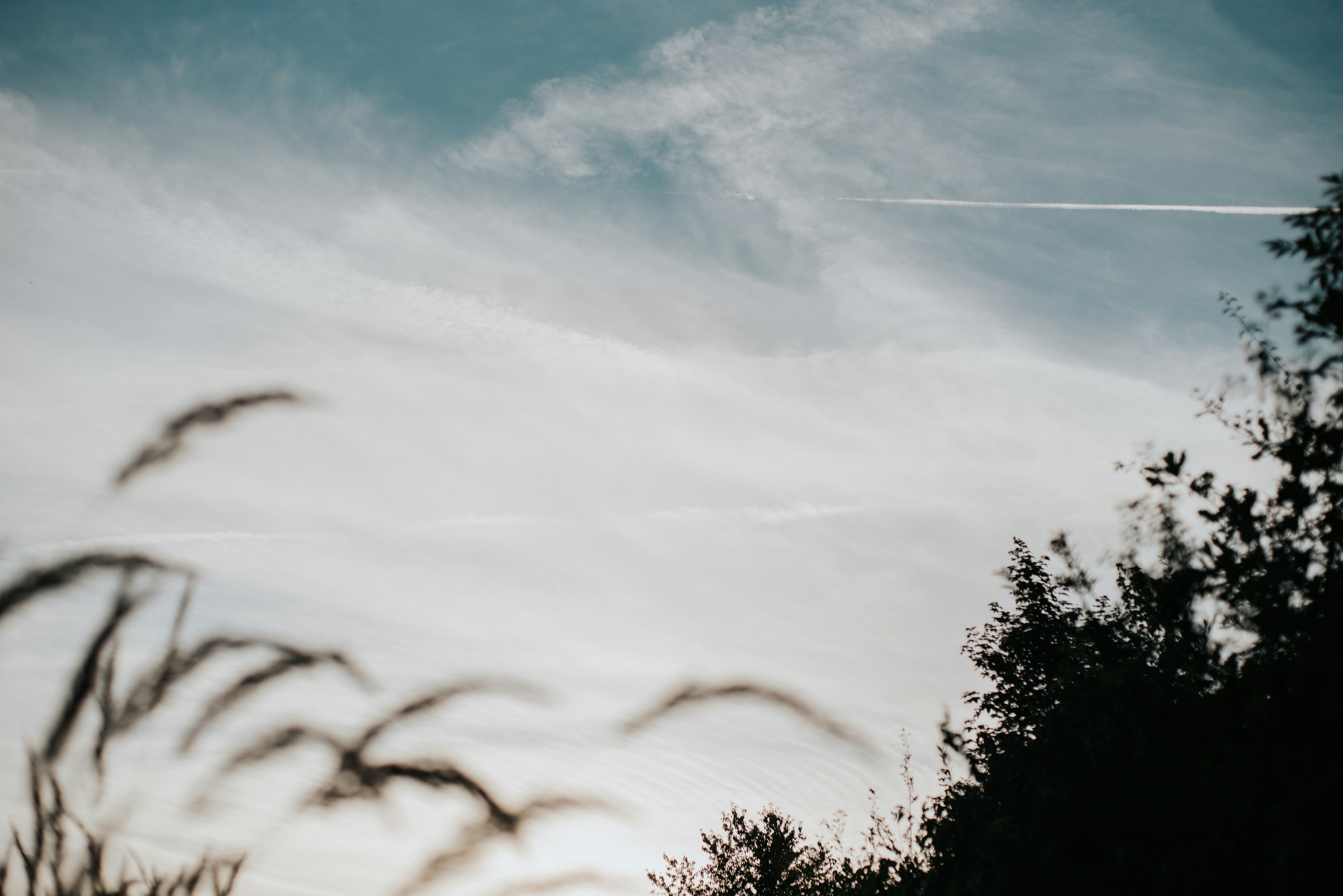 Photo by domowe_ustronie