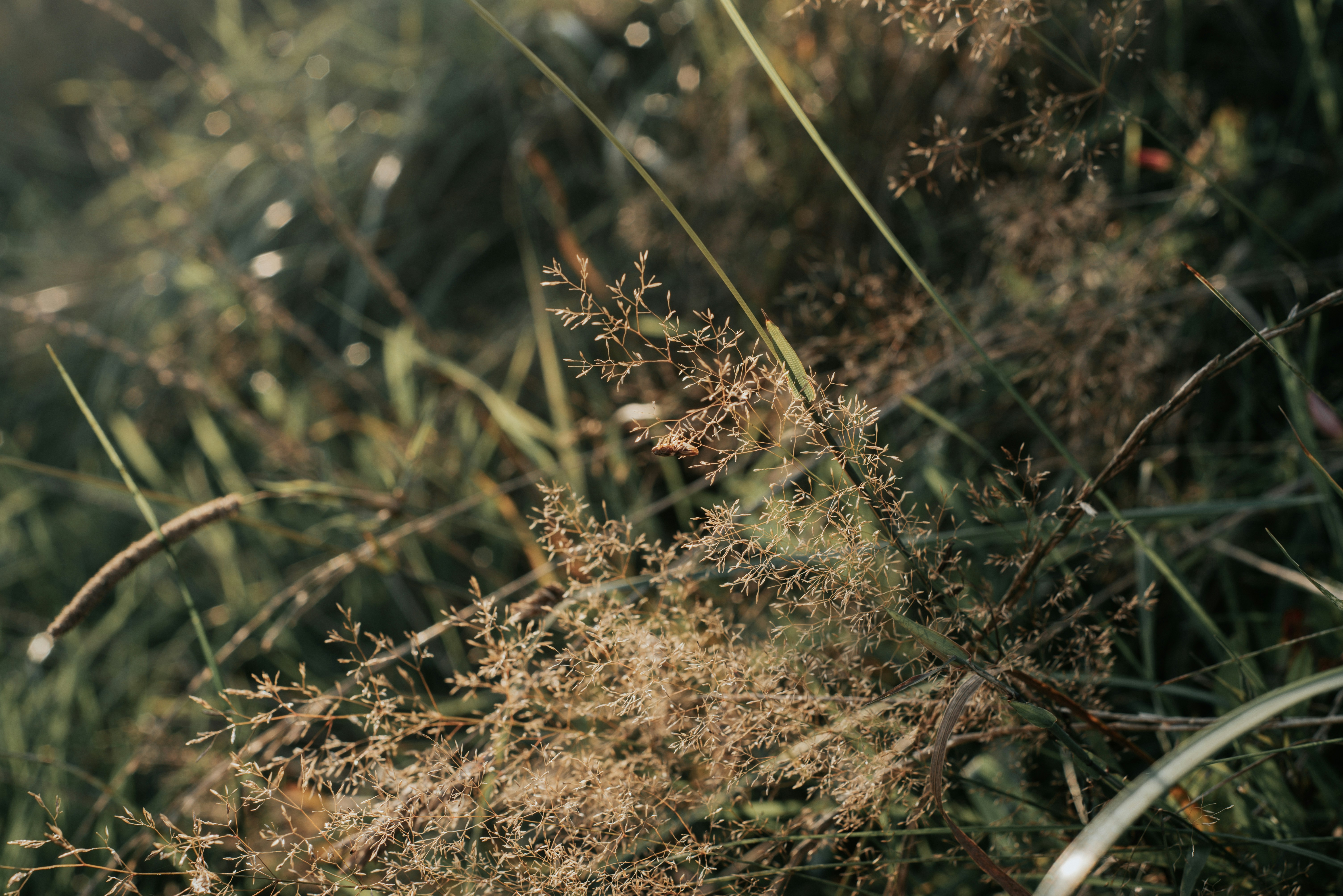 Photo by domowe_ustronie