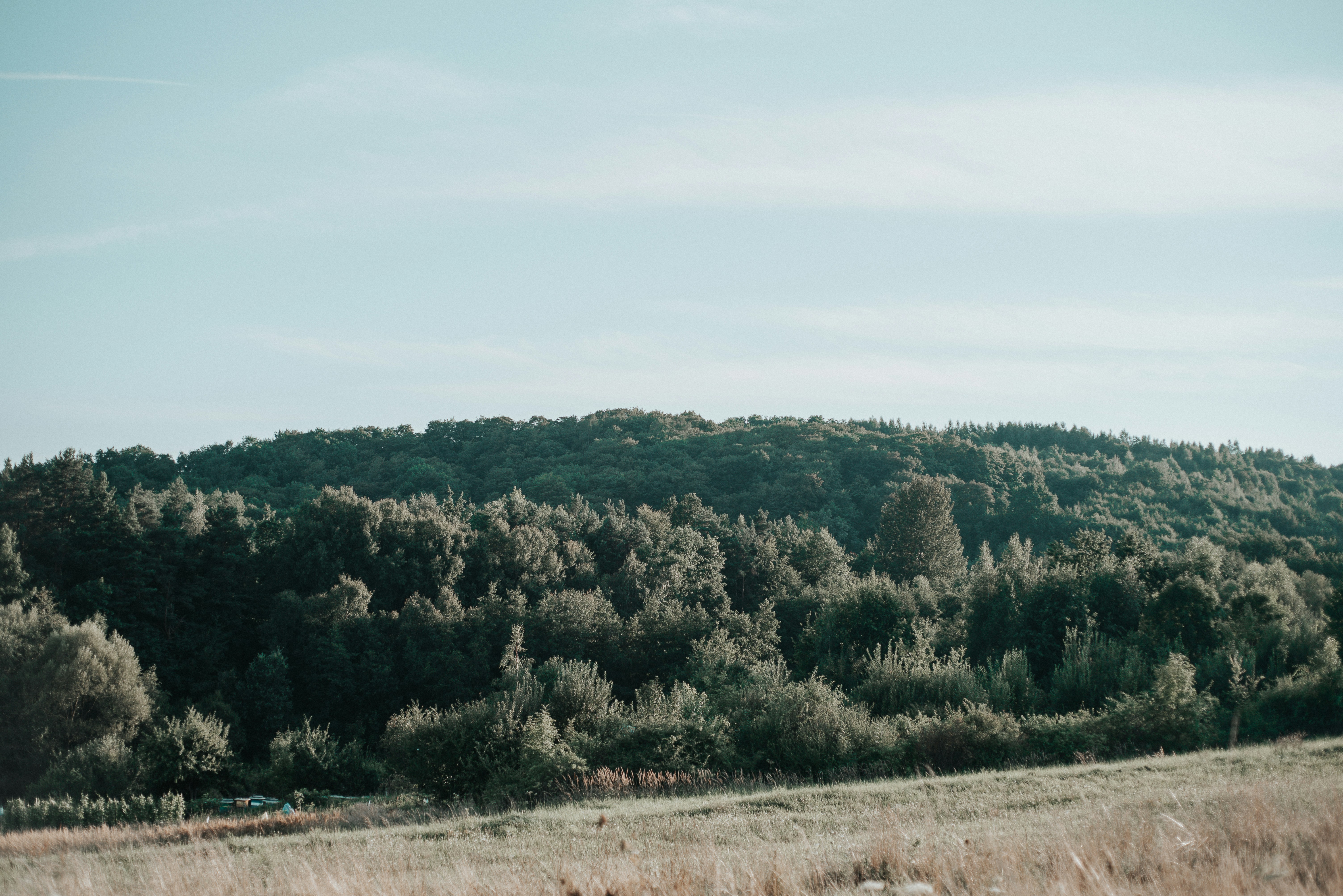 Photo by domowe_ustronie