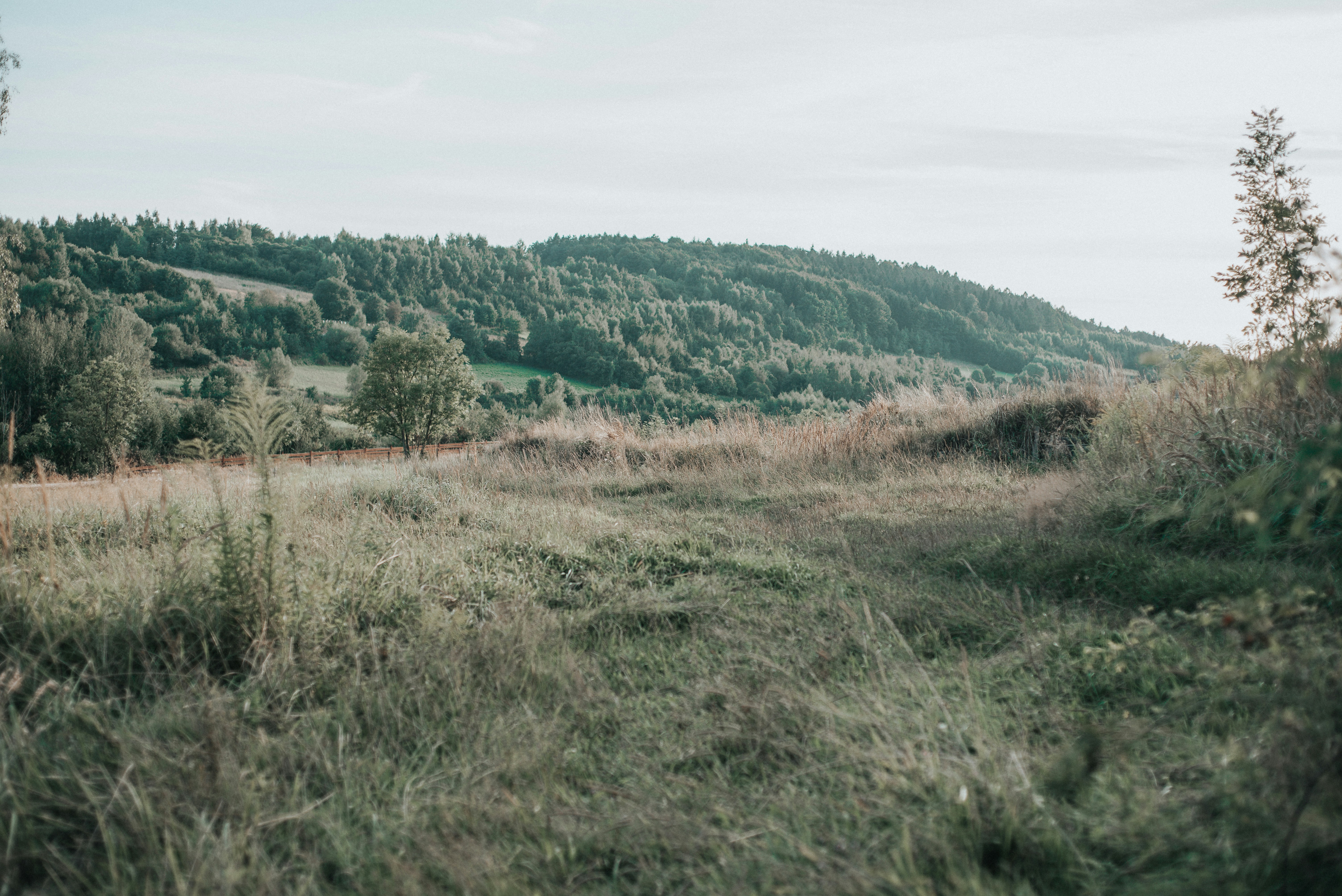 Photo by domowe_ustronie