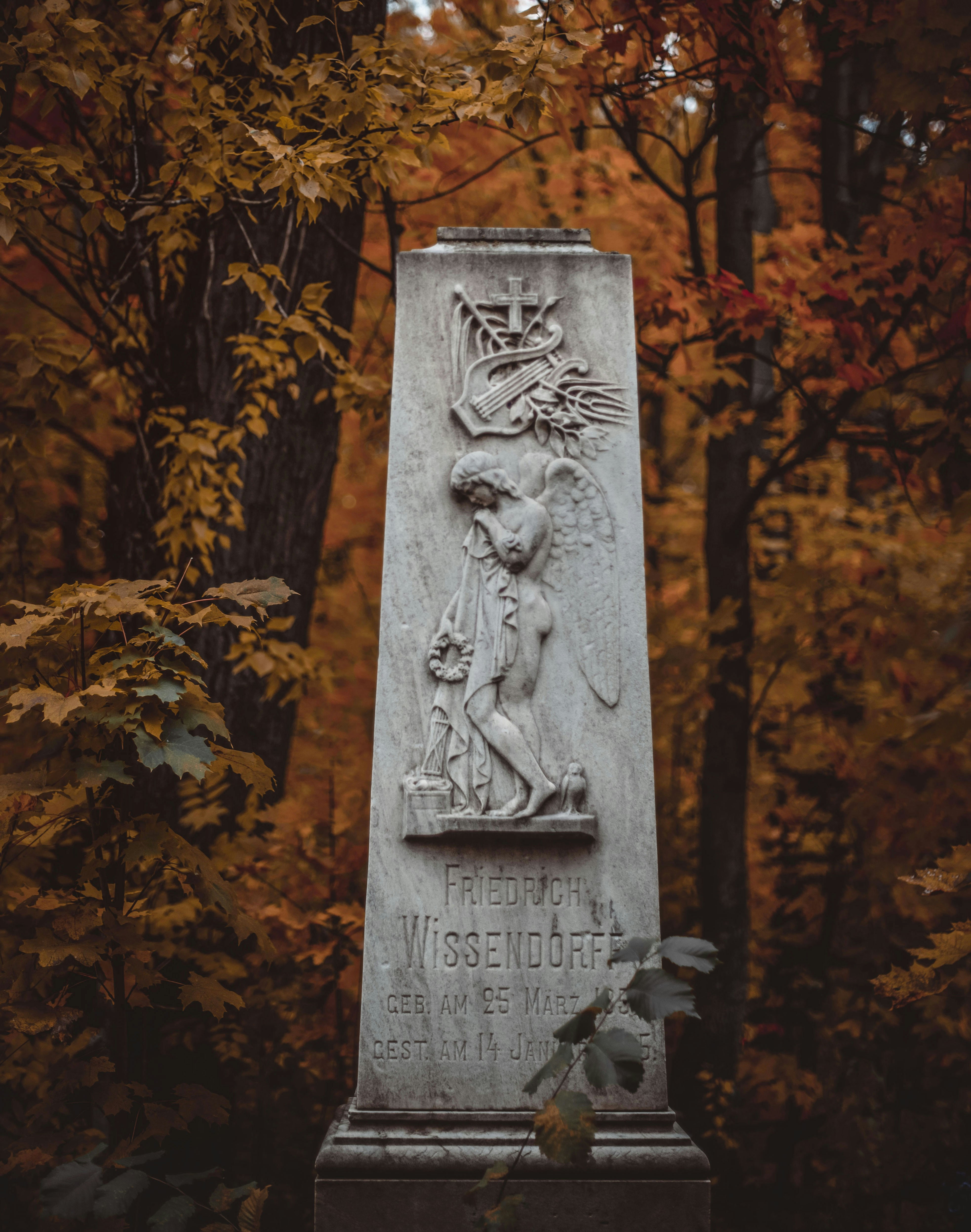 A monument in the middle of a forest