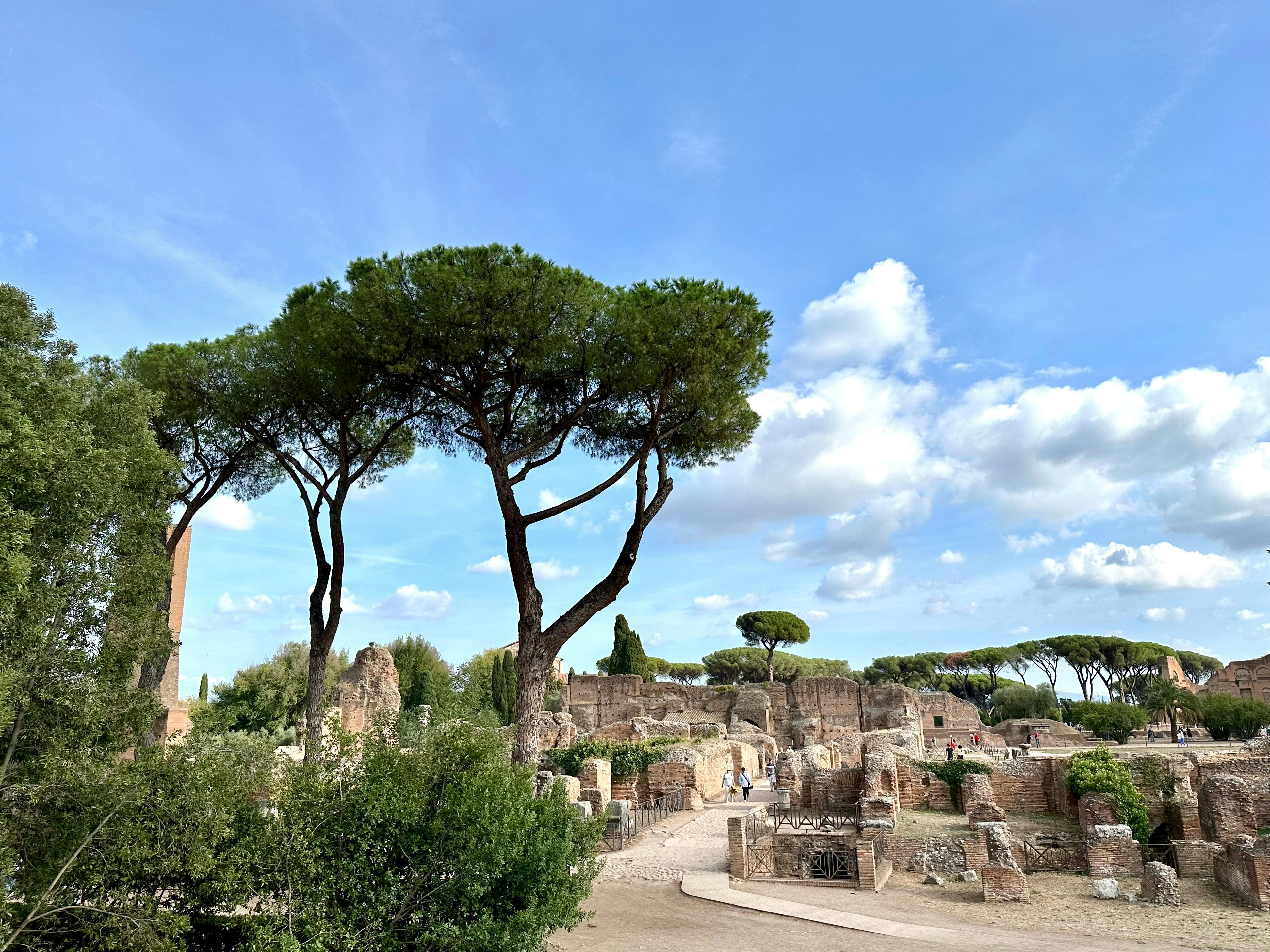 Photo by maximilian_brand