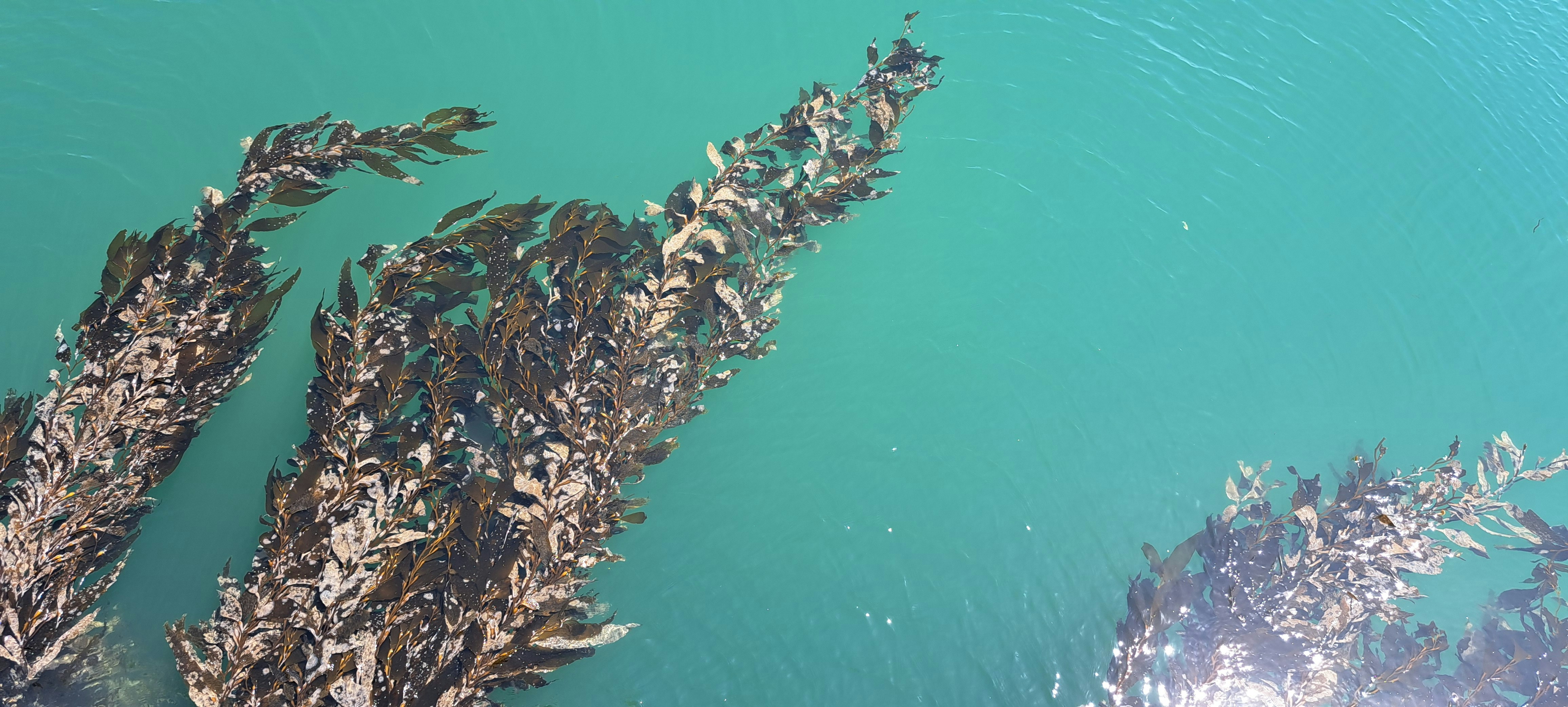 Photo by holloway4life