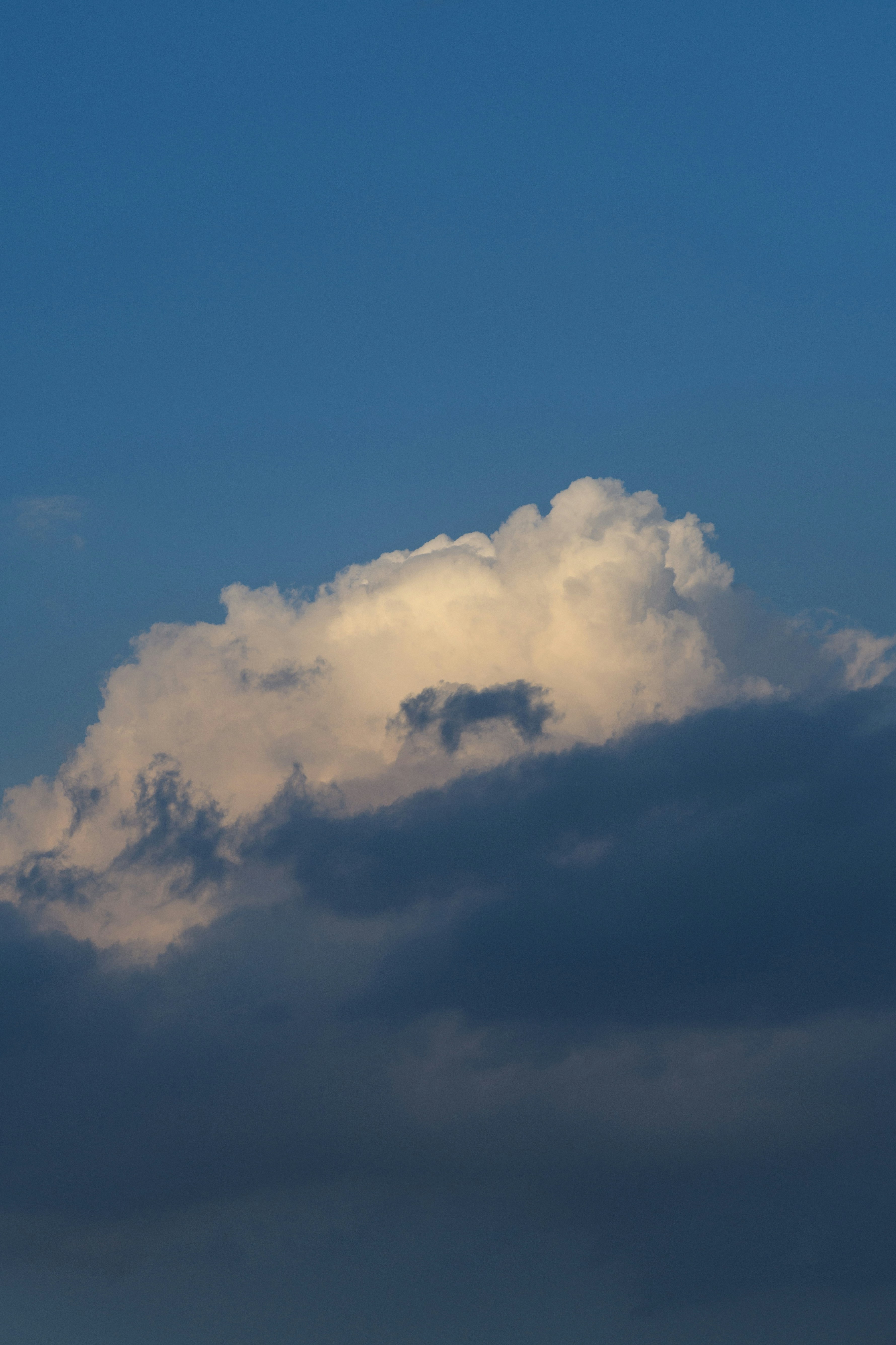 Photo by s_ahmadreza_p