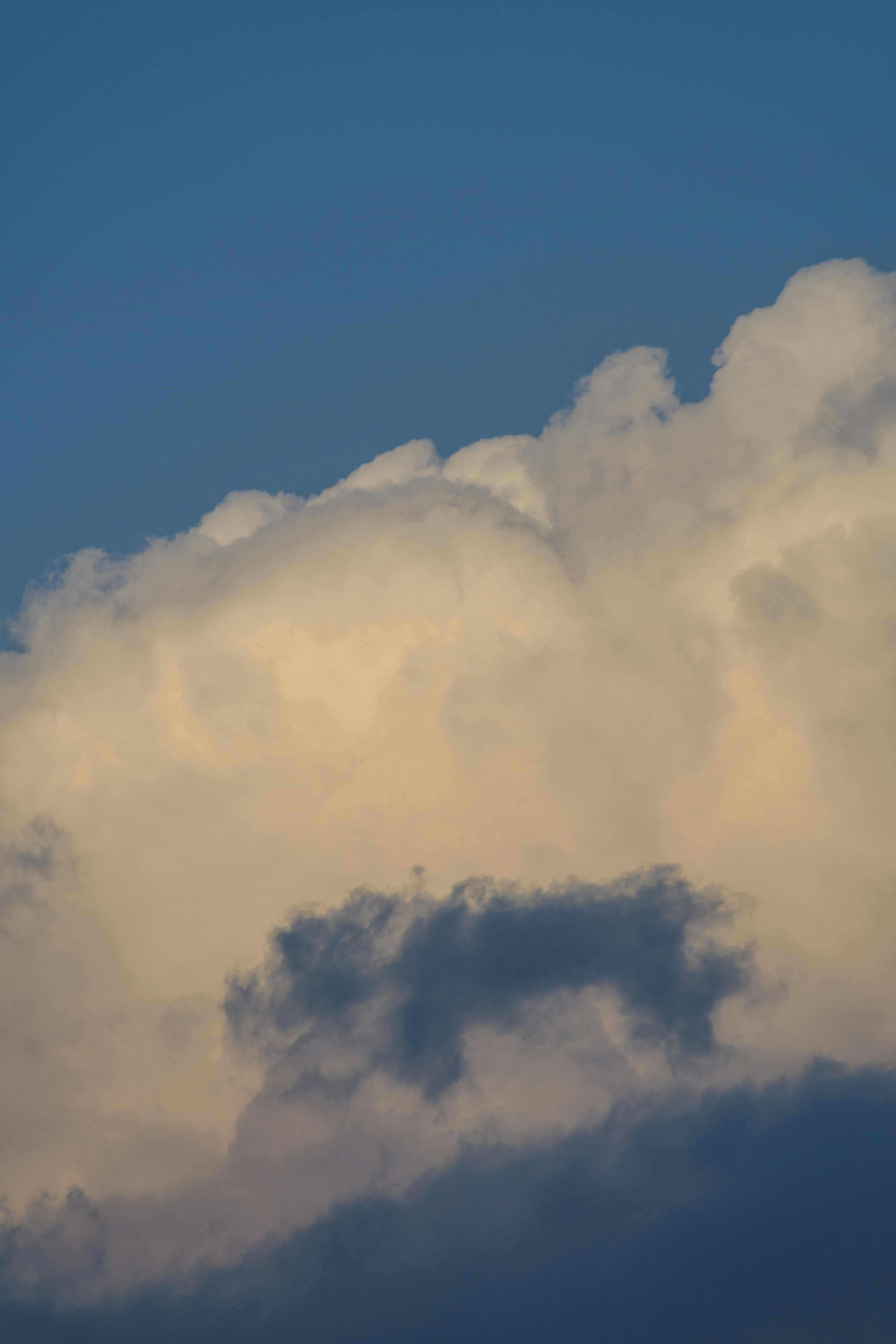 Photo by s_ahmadreza_p