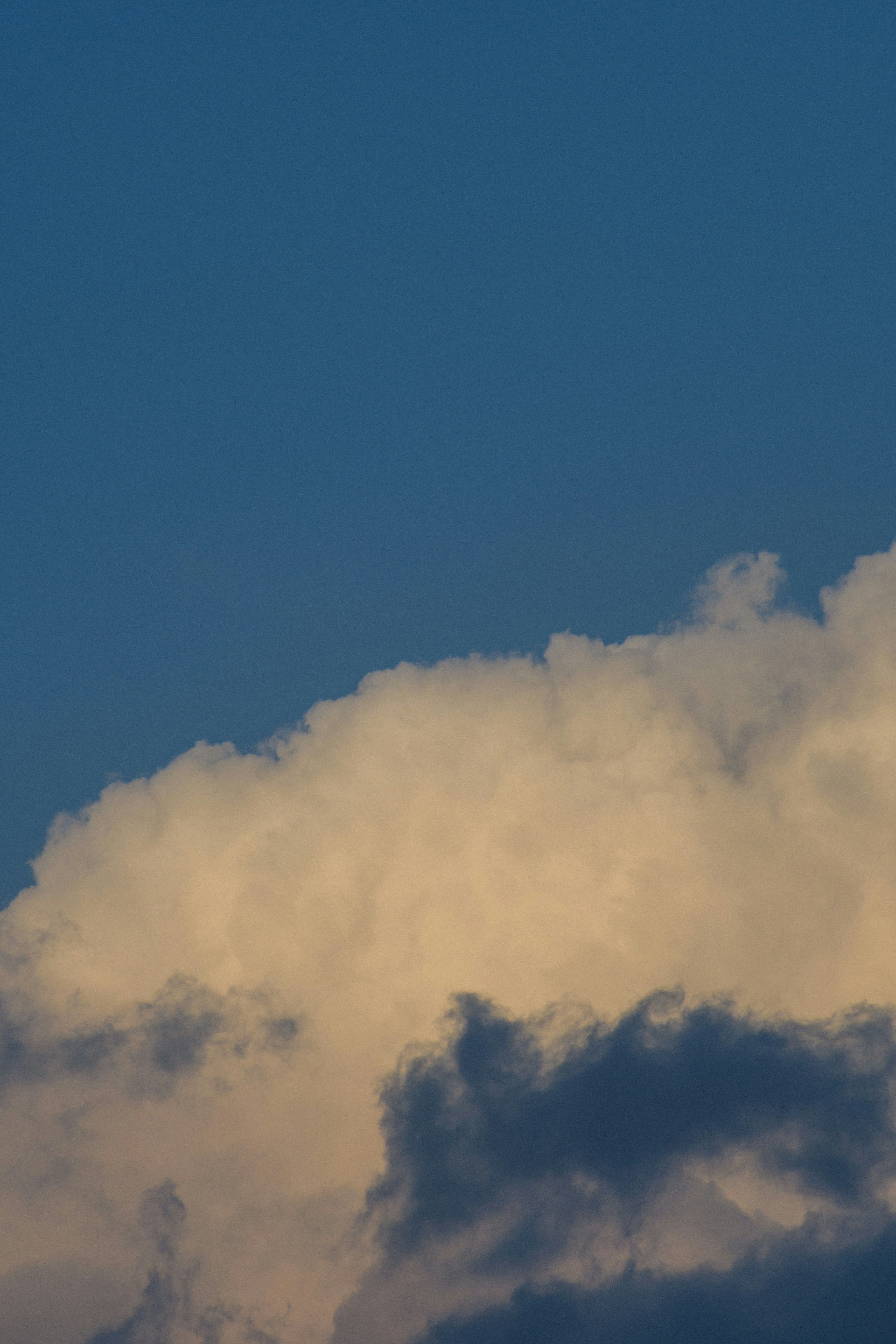 Photo by s_ahmadreza_p