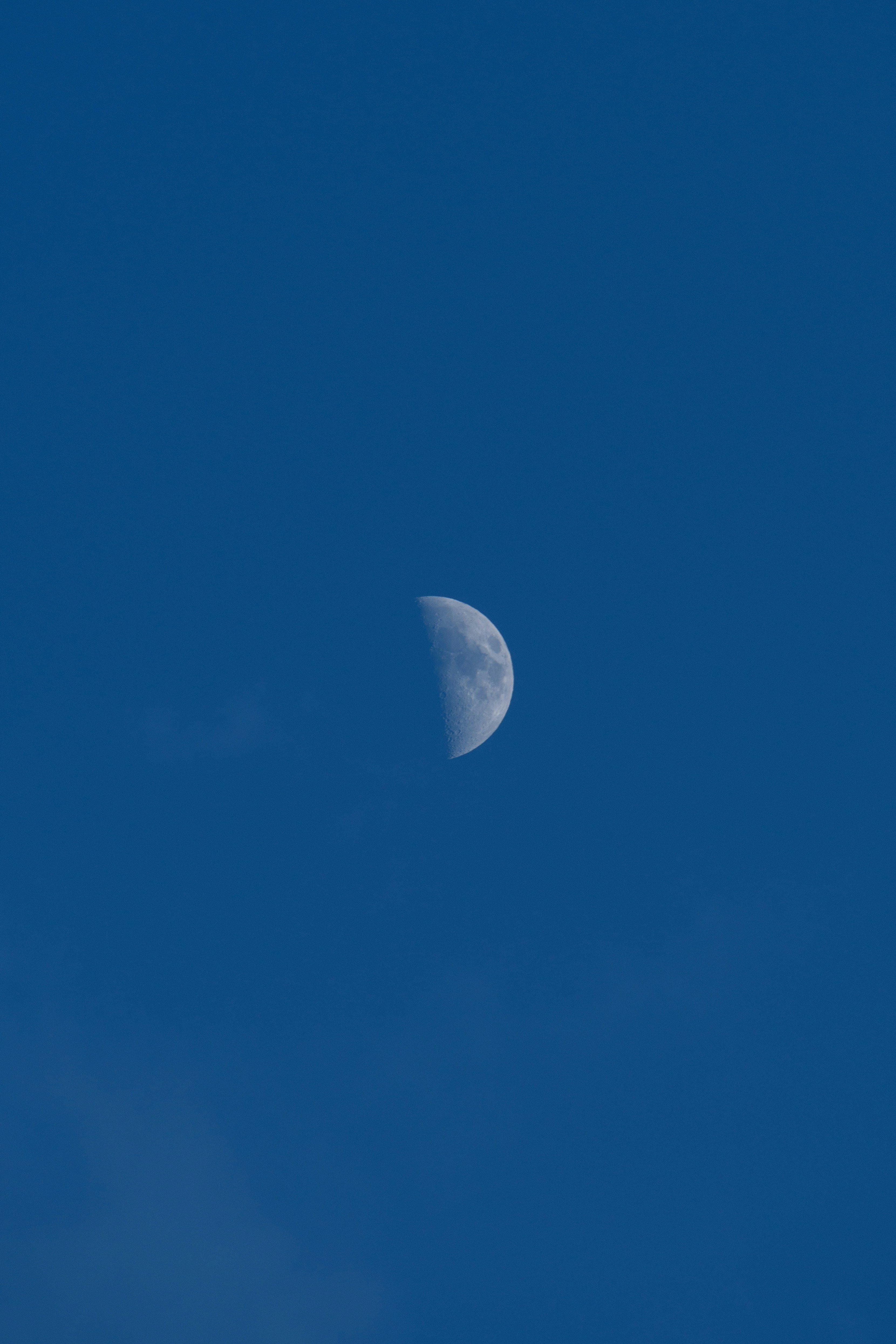 Photo by s_ahmadreza_p