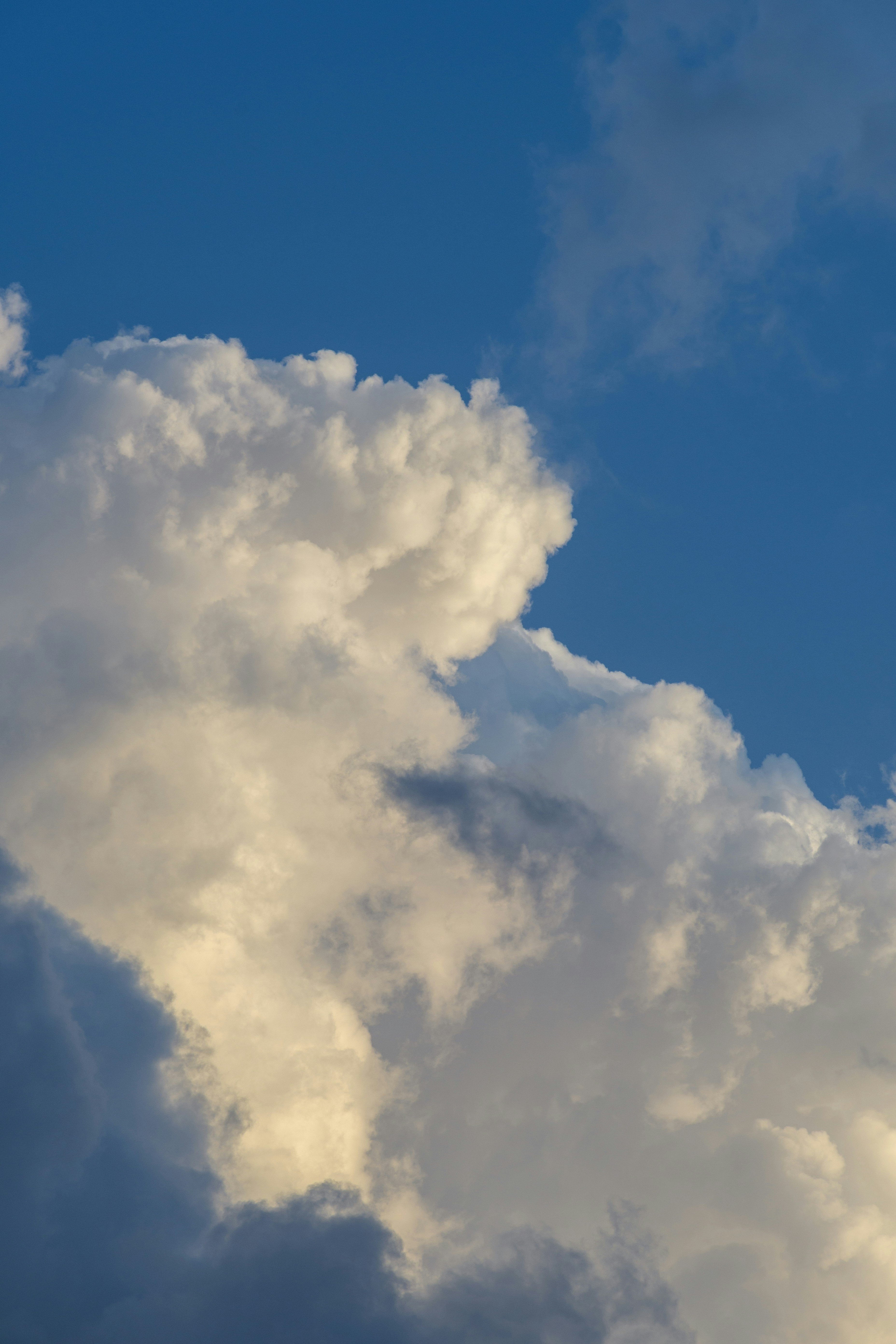 Photo by s_ahmadreza_p