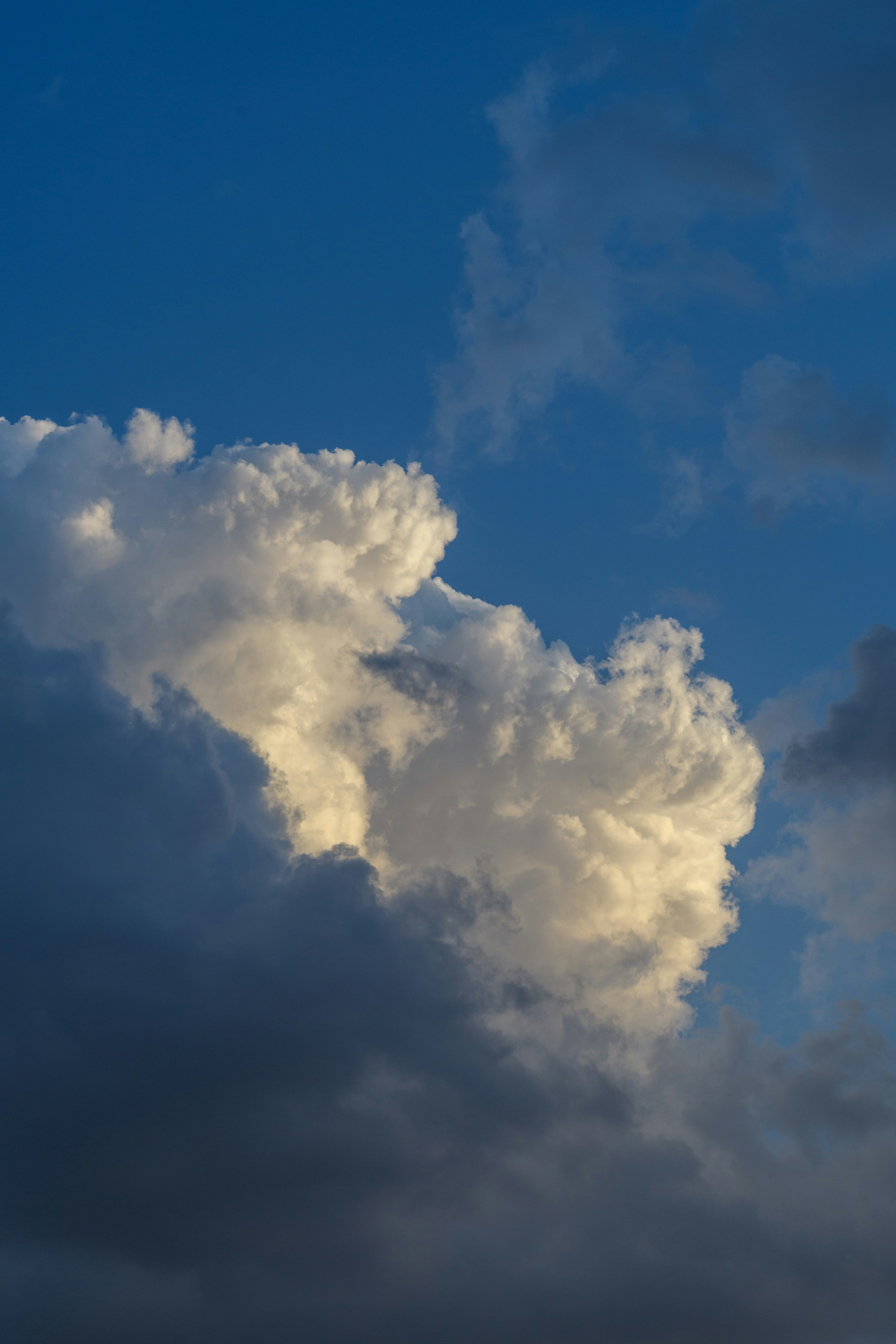 Photo by s_ahmadreza_p