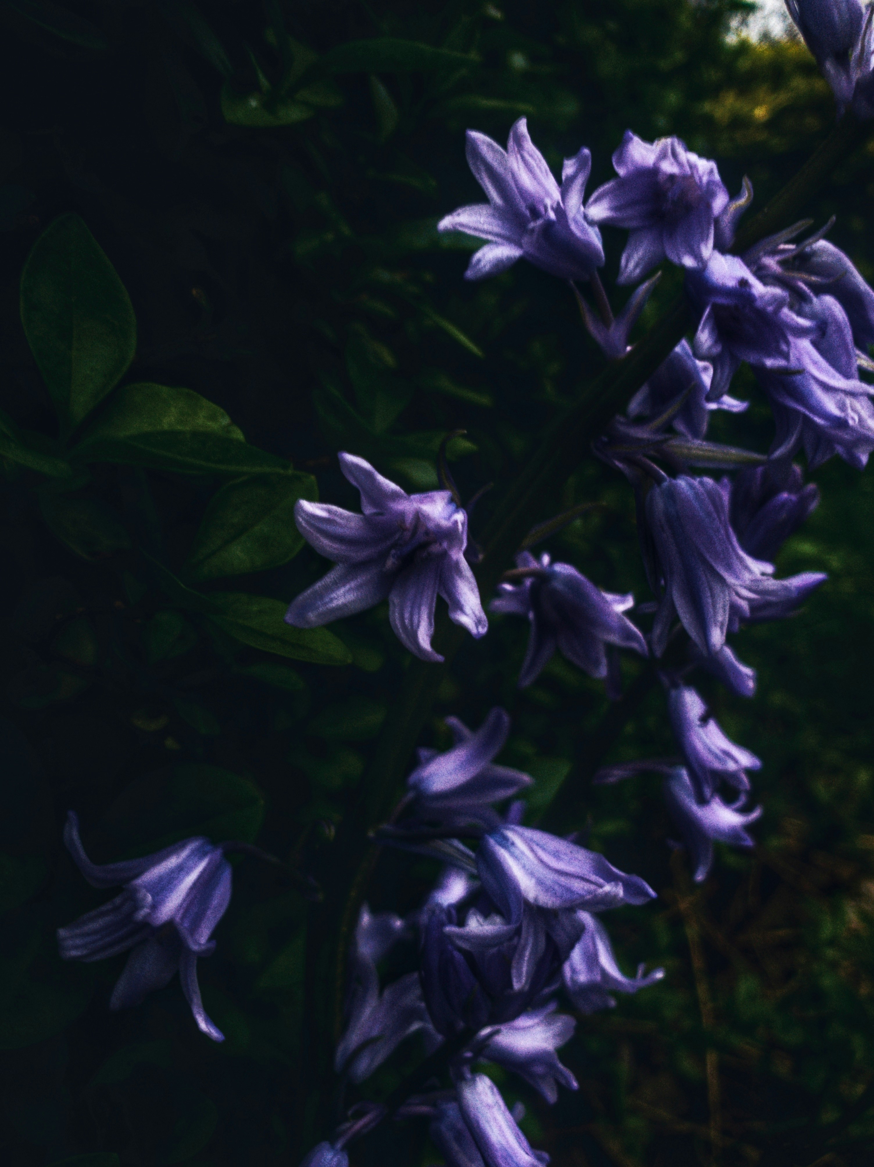 Photo by sillynickdobie