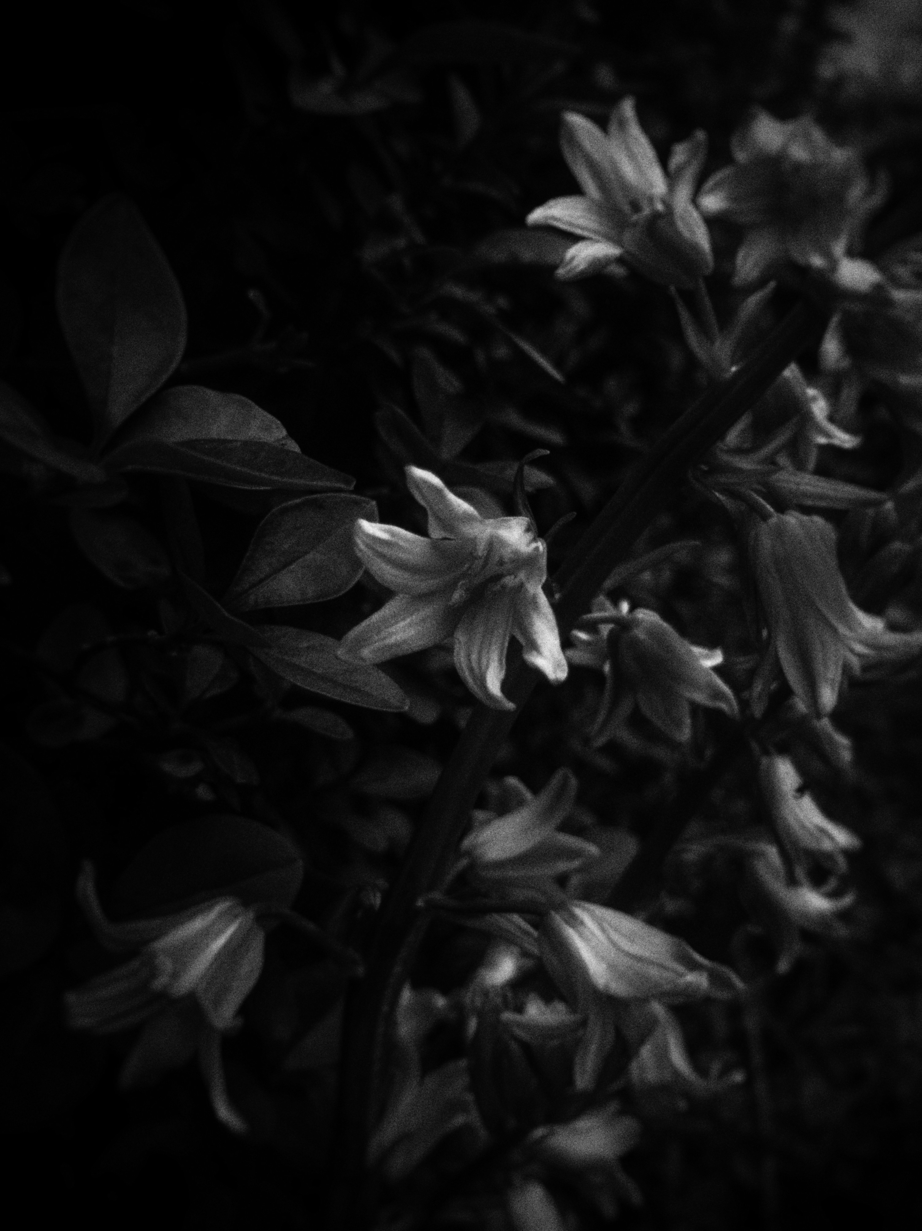 Photo by sillynickdobie