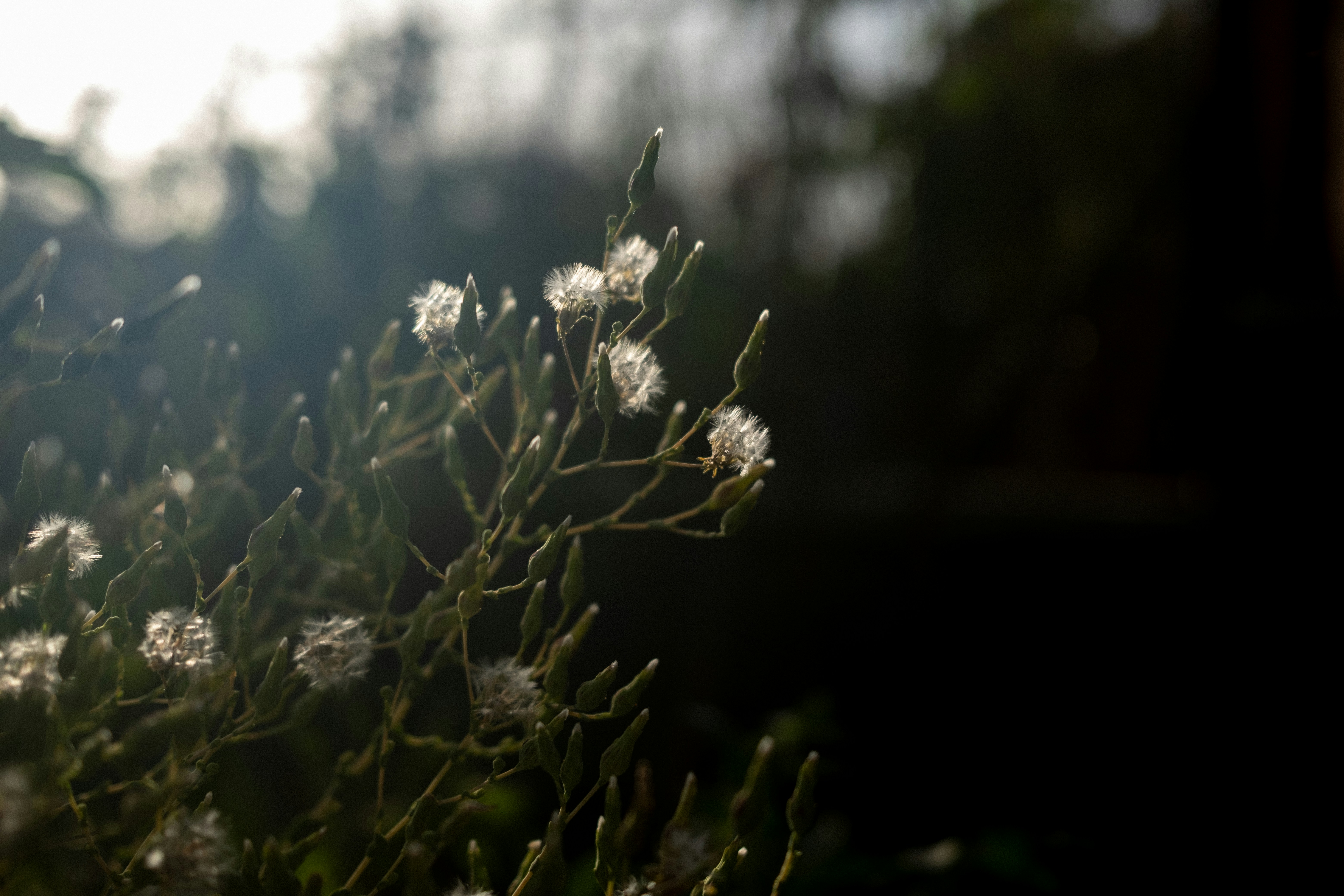 Photo by lauraespana