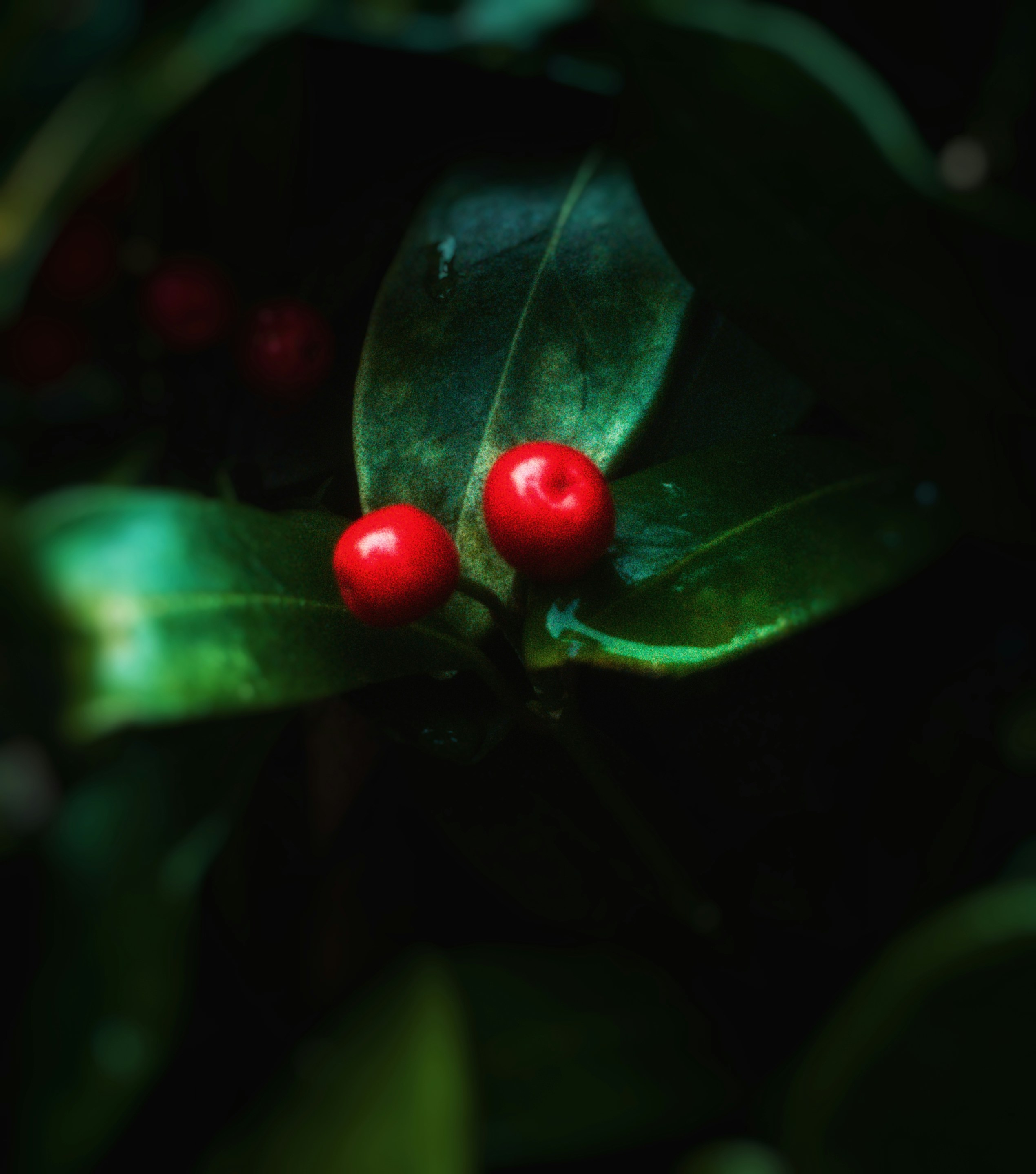 Photo by sillynickdobie