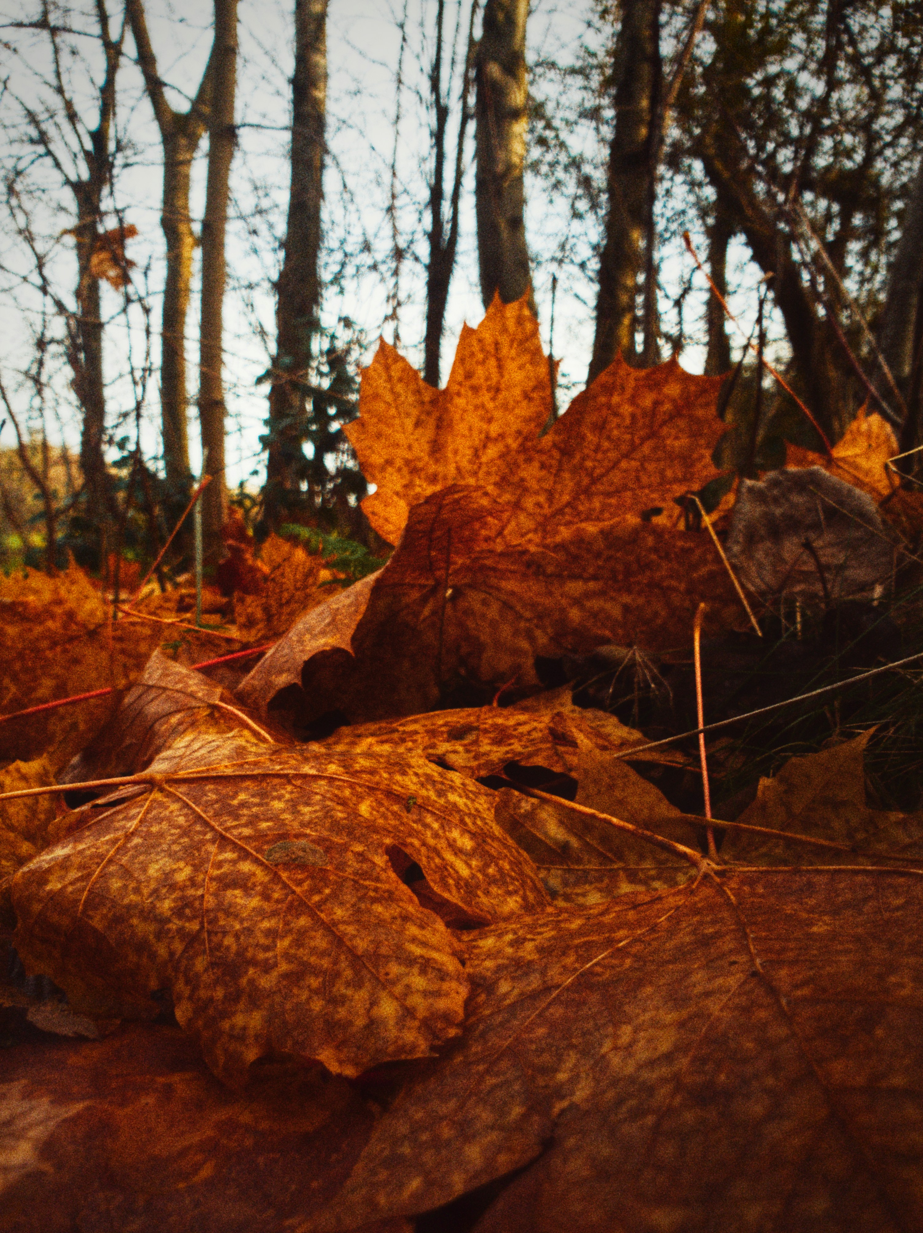Photo by sillynickdobie