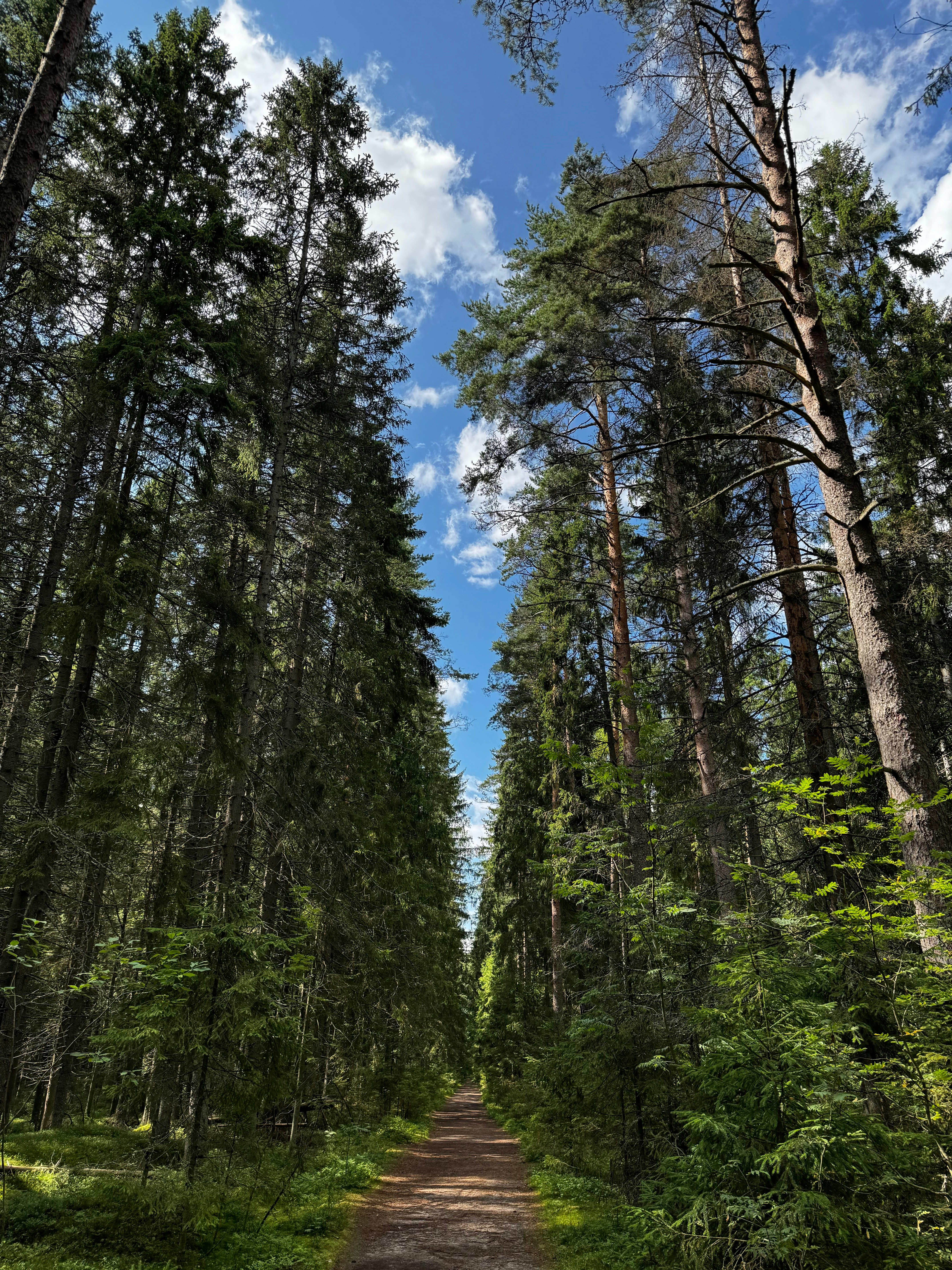 Photo by lostillusion