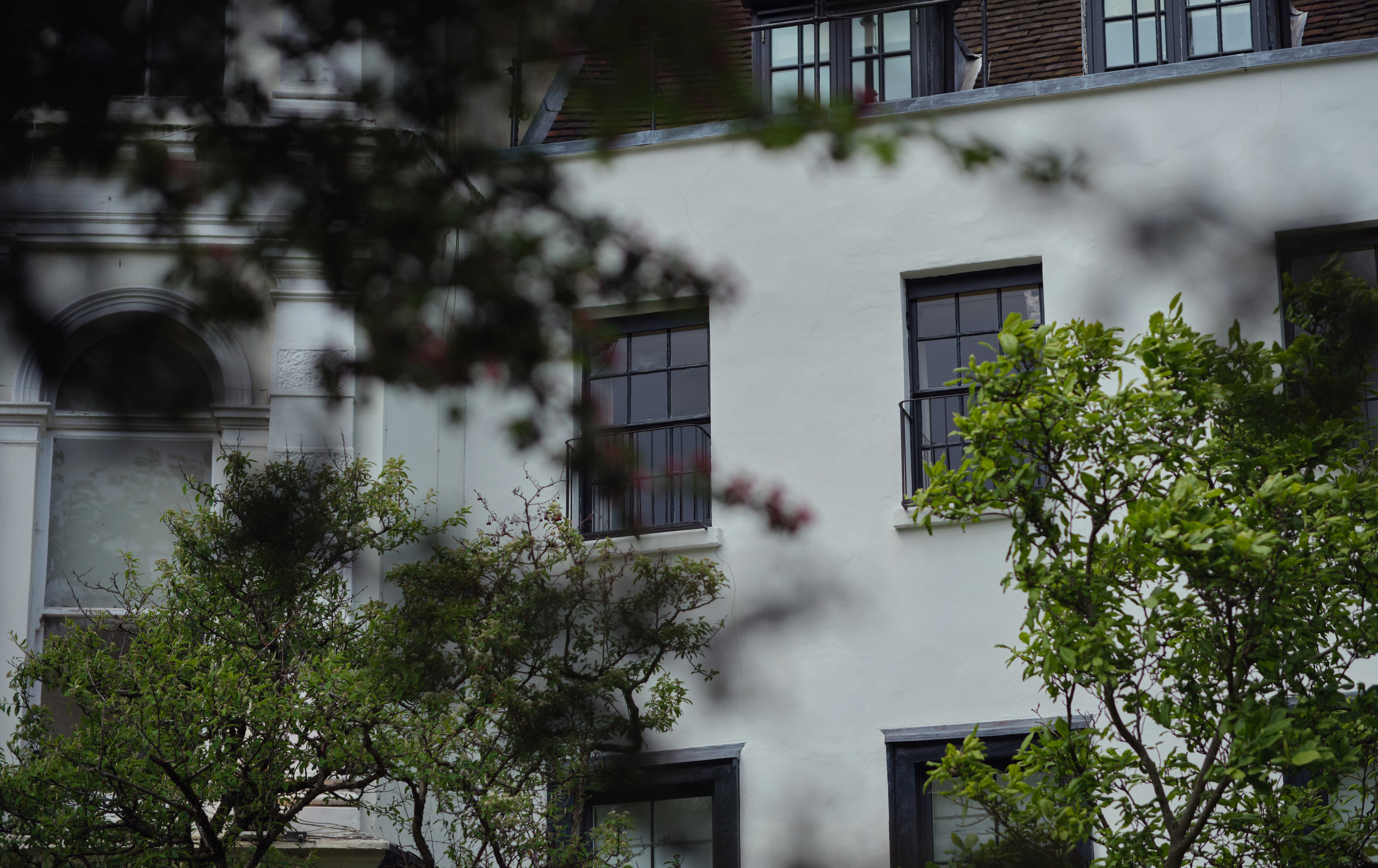 Photo by romanakash27