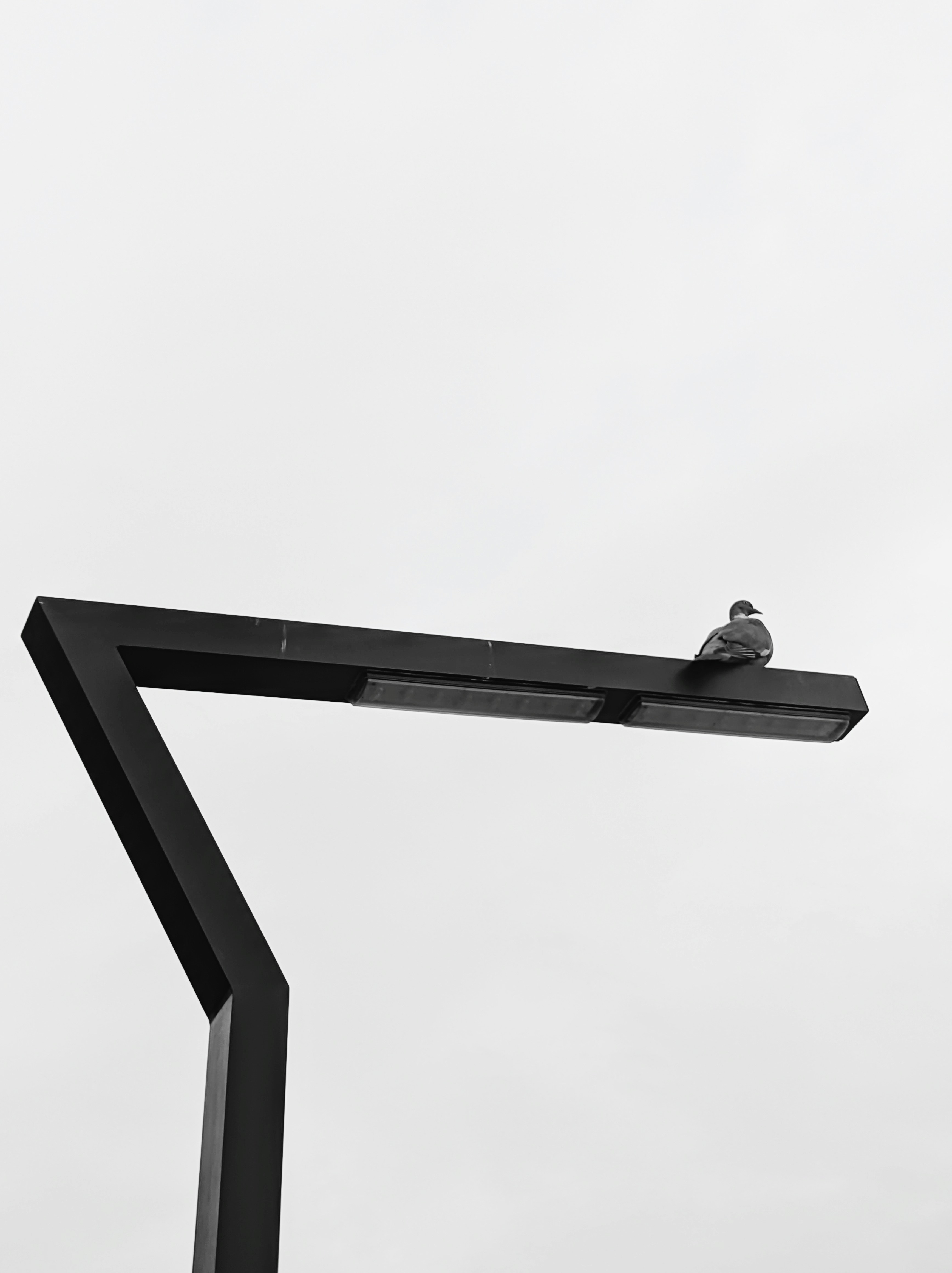 Photo by positivetourettes