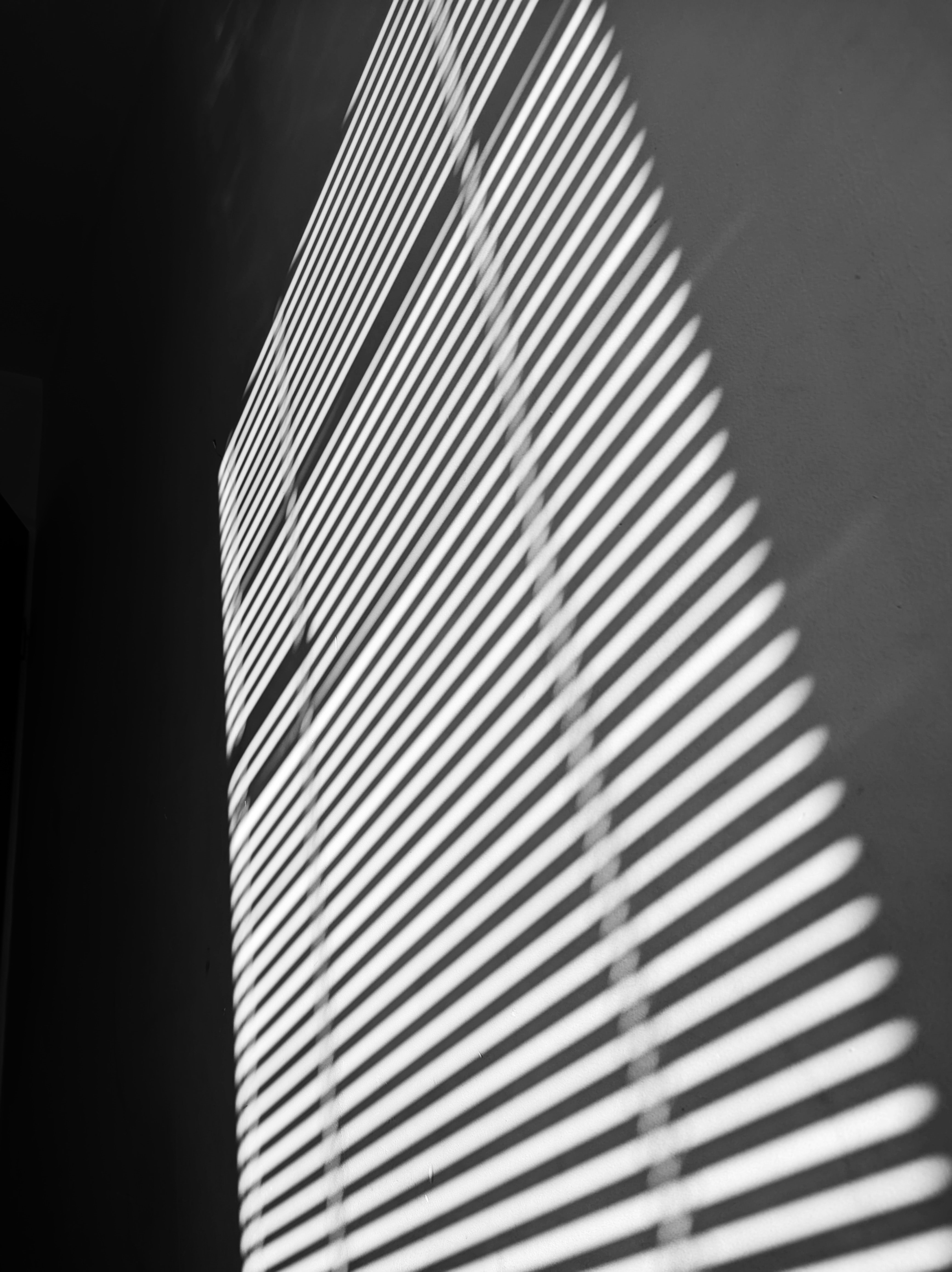 Photo by positivetourettes