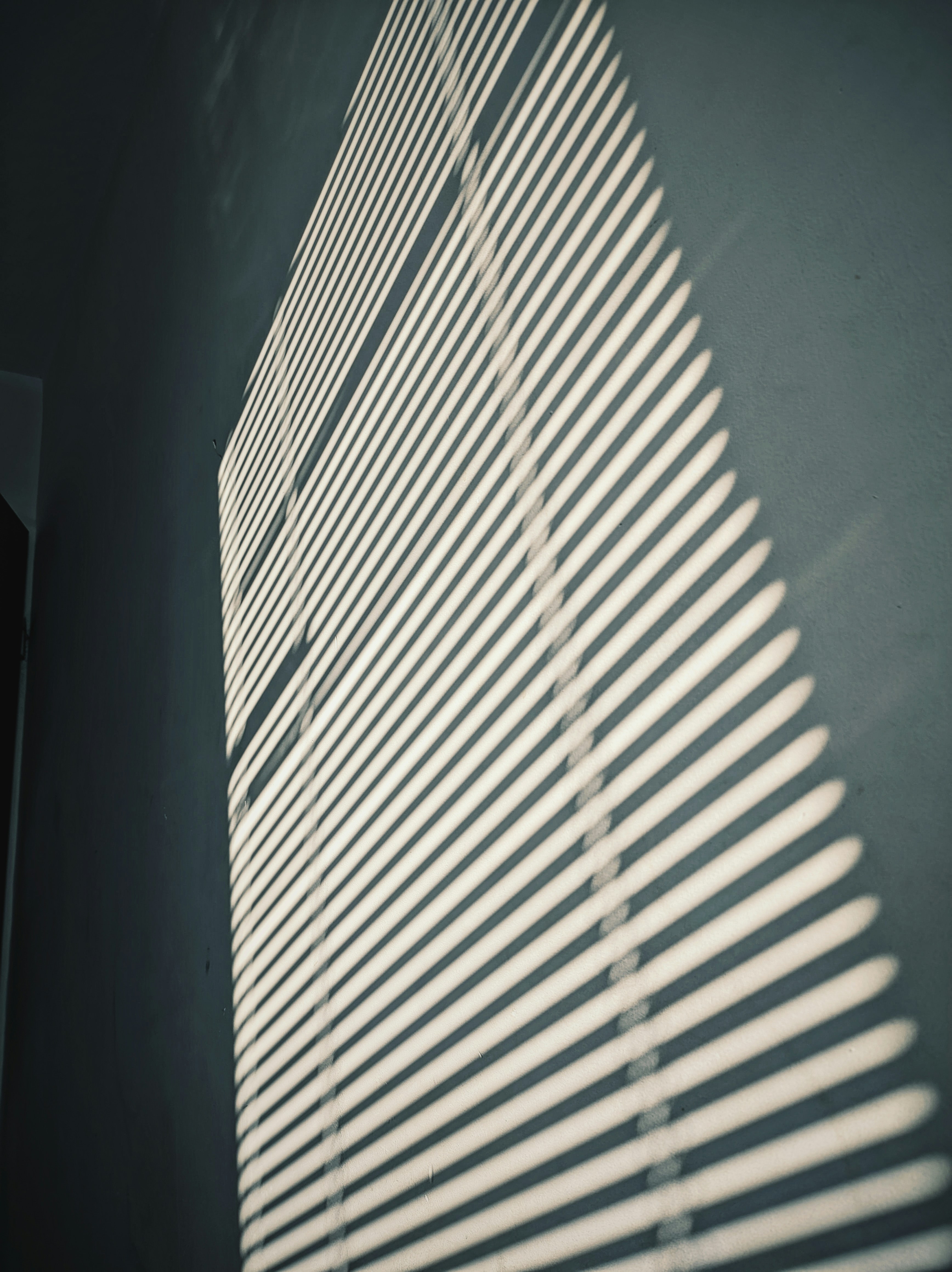 Photo by positivetourettes