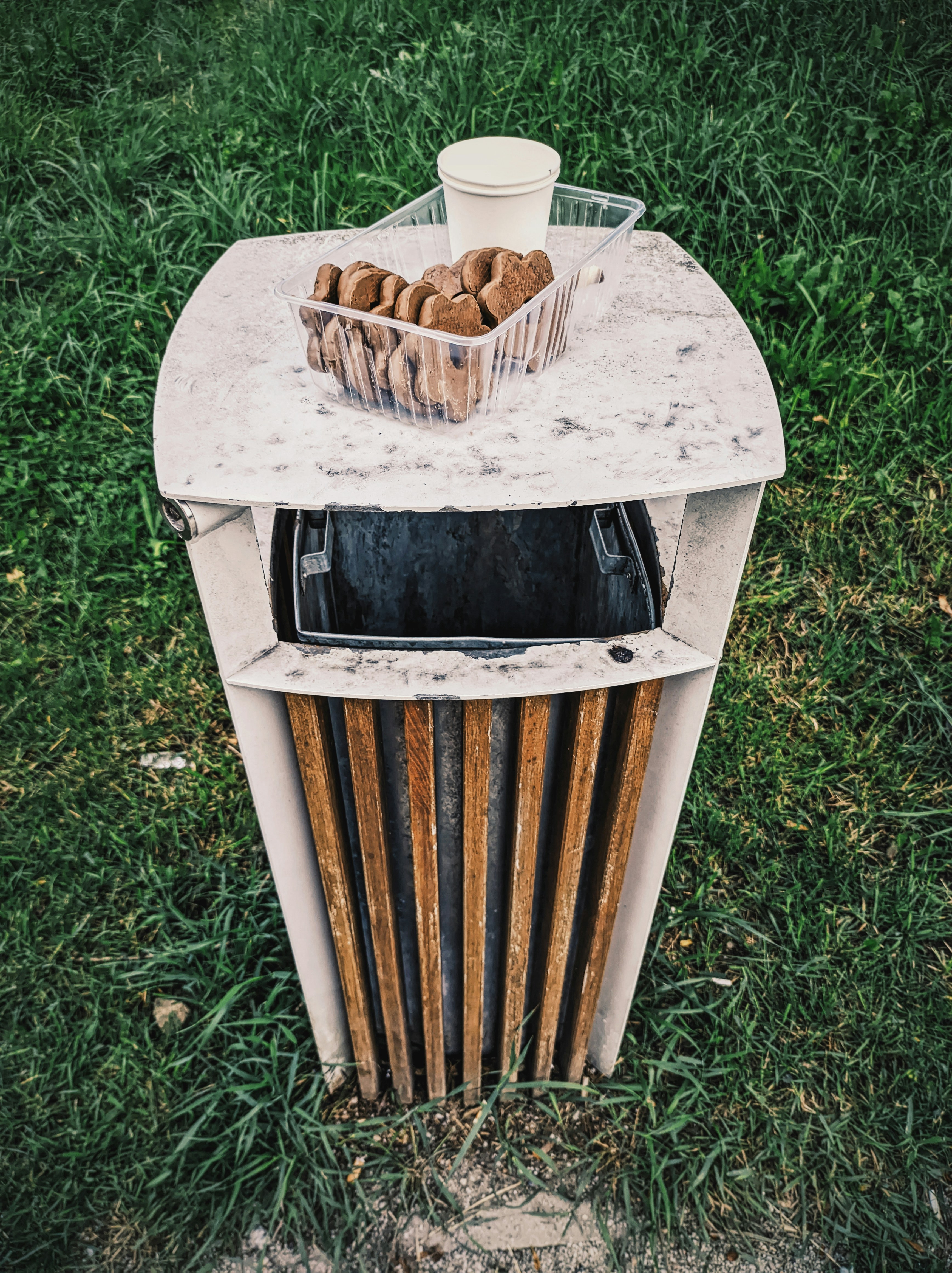 Photo by positivetourettes