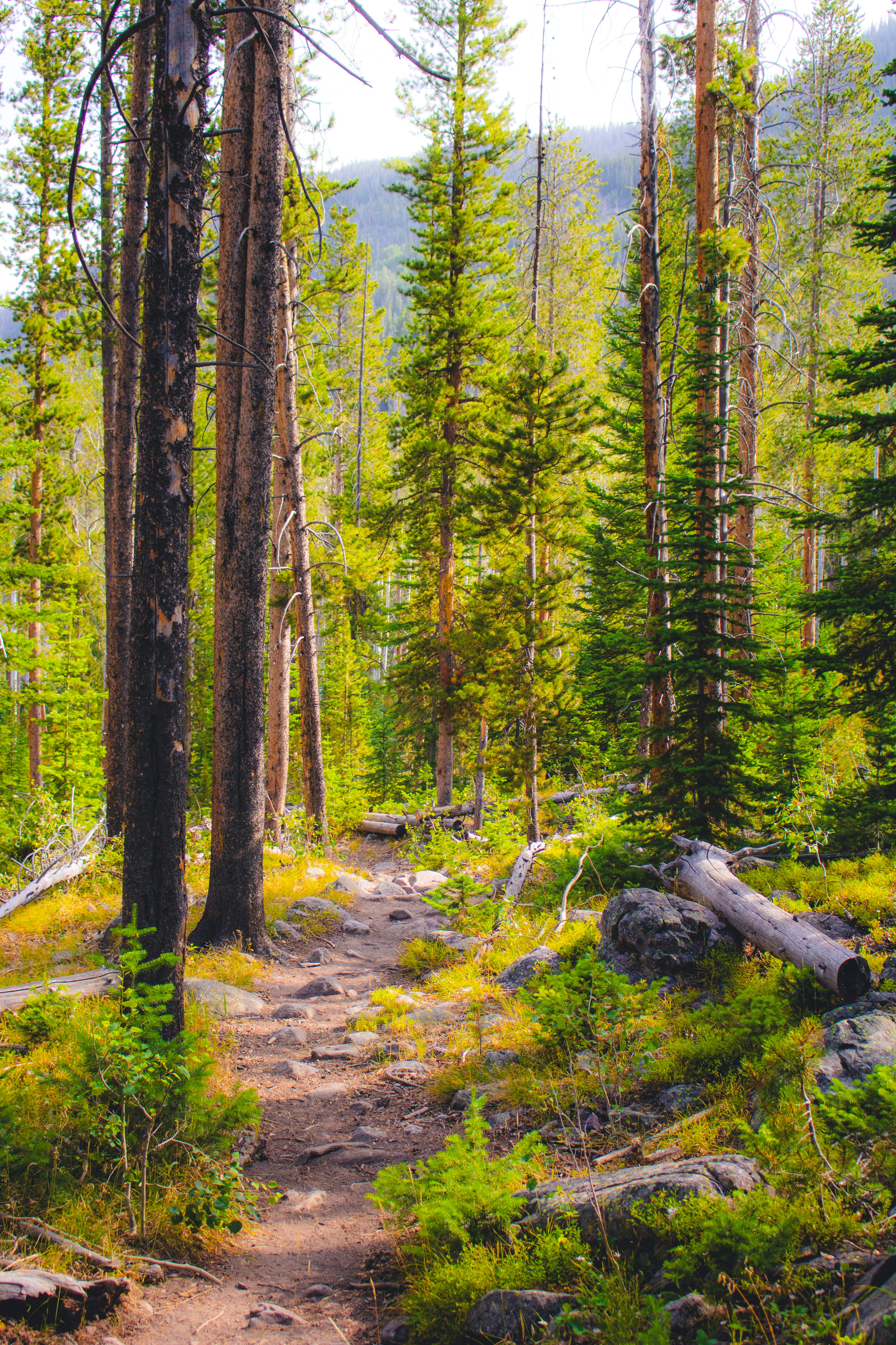 Photo by heberdavisphotography